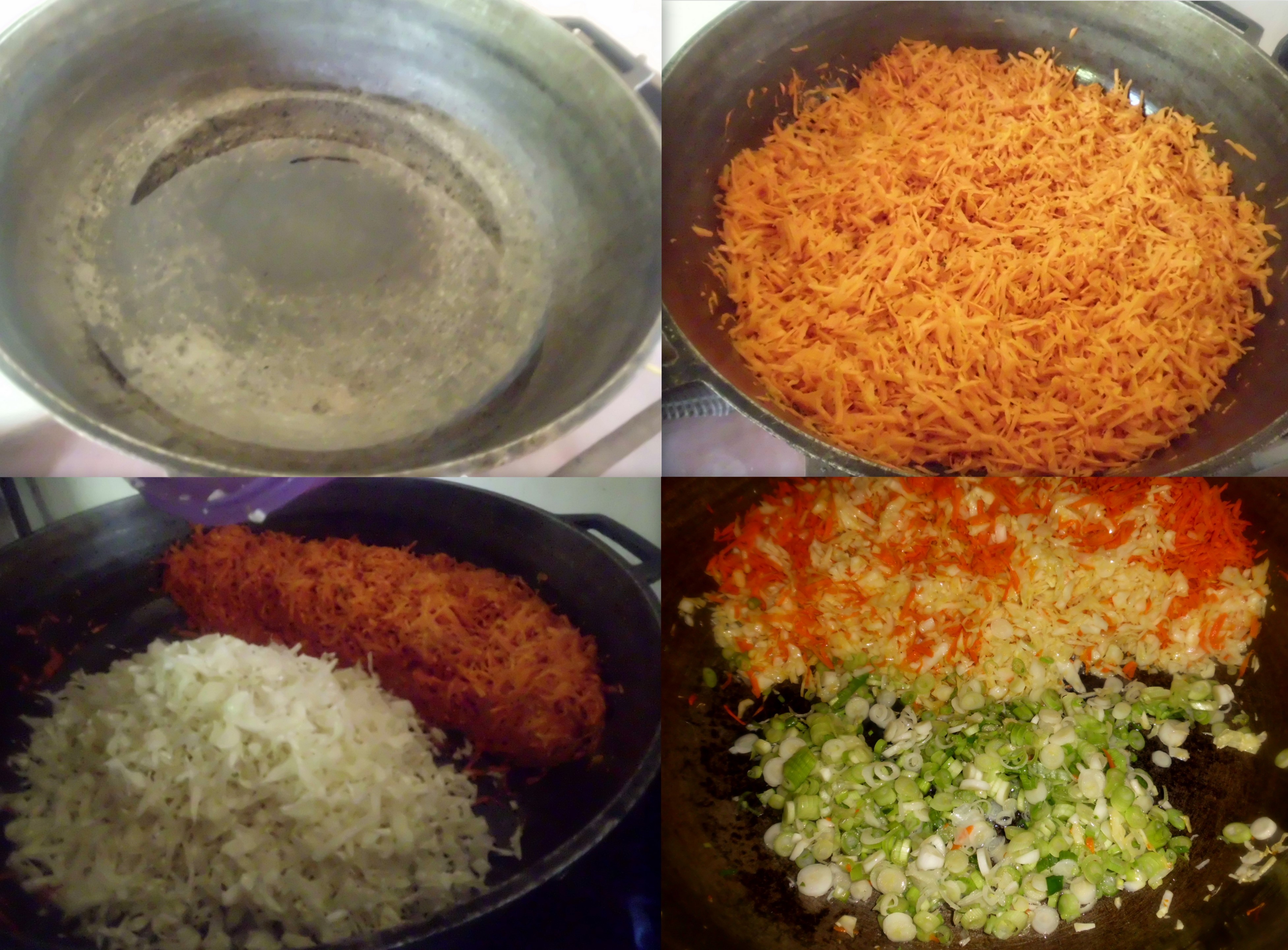 arroz chino maria8.jpg