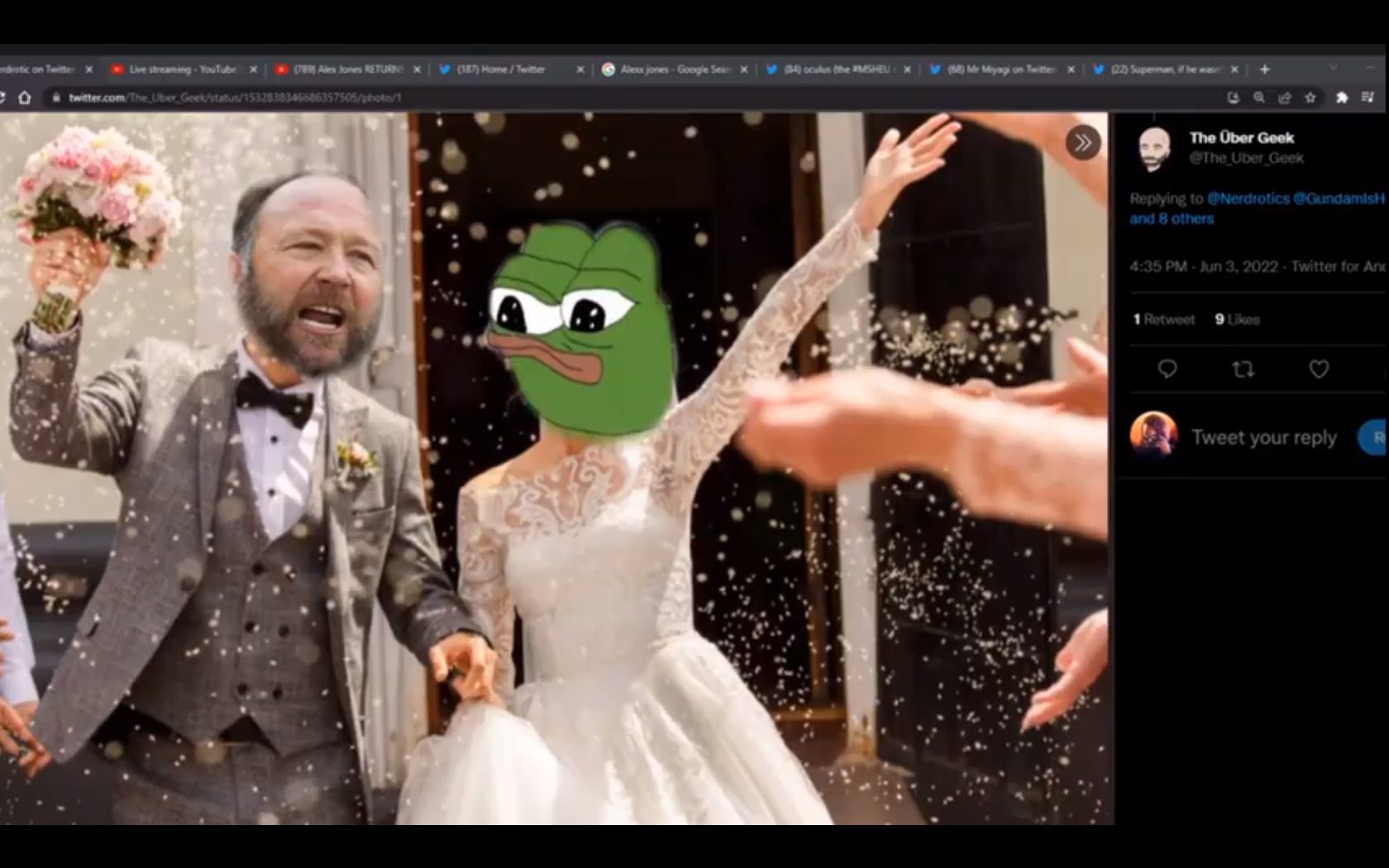 Screenshot at 2022-06-03 14:57:08 Alex Jones Frog Marry.png