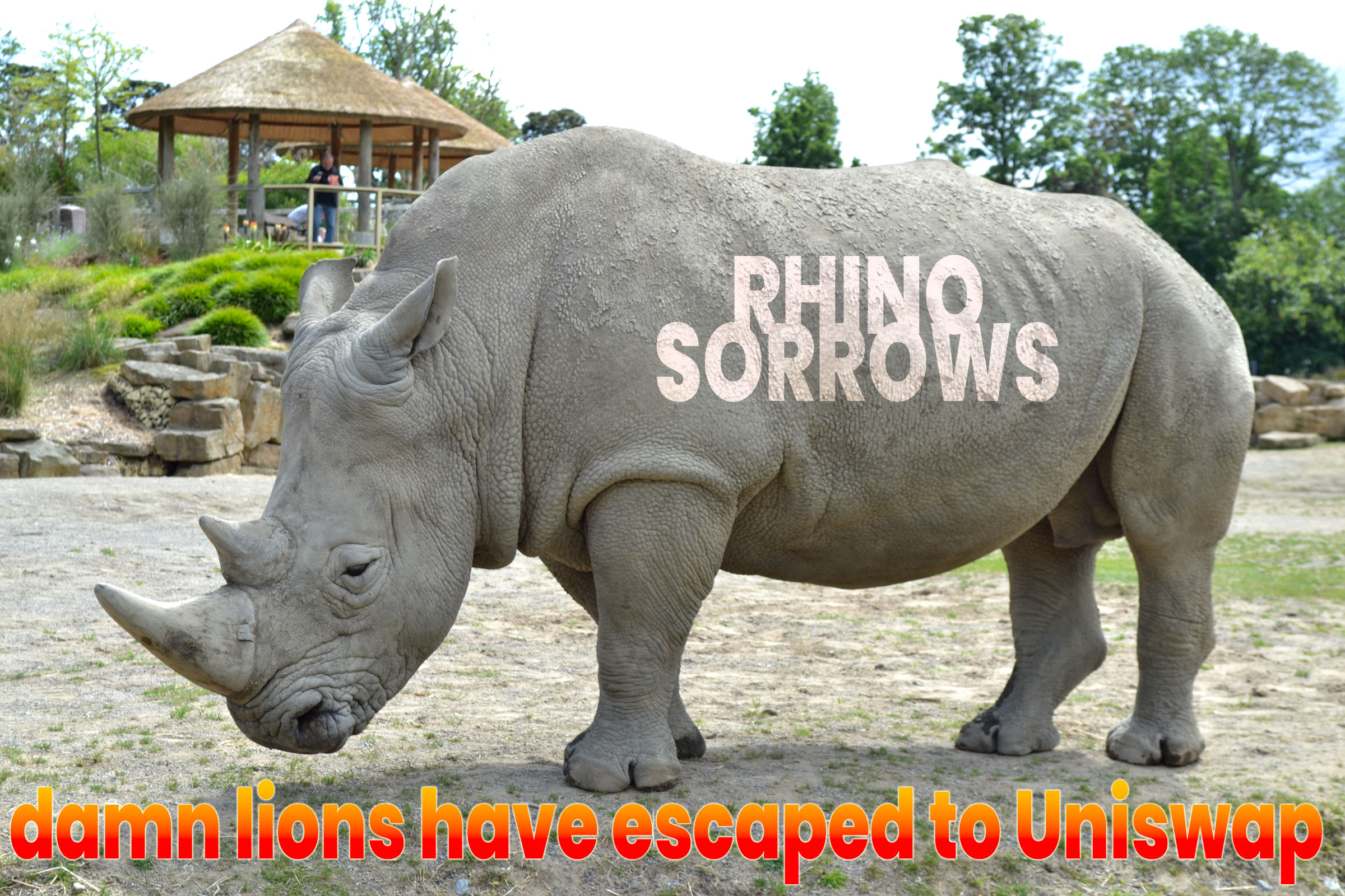 rhinoSorrows.jpg
