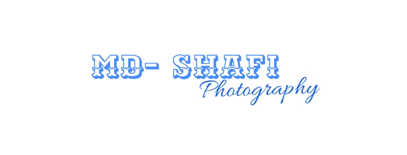 shafi logo.jpg