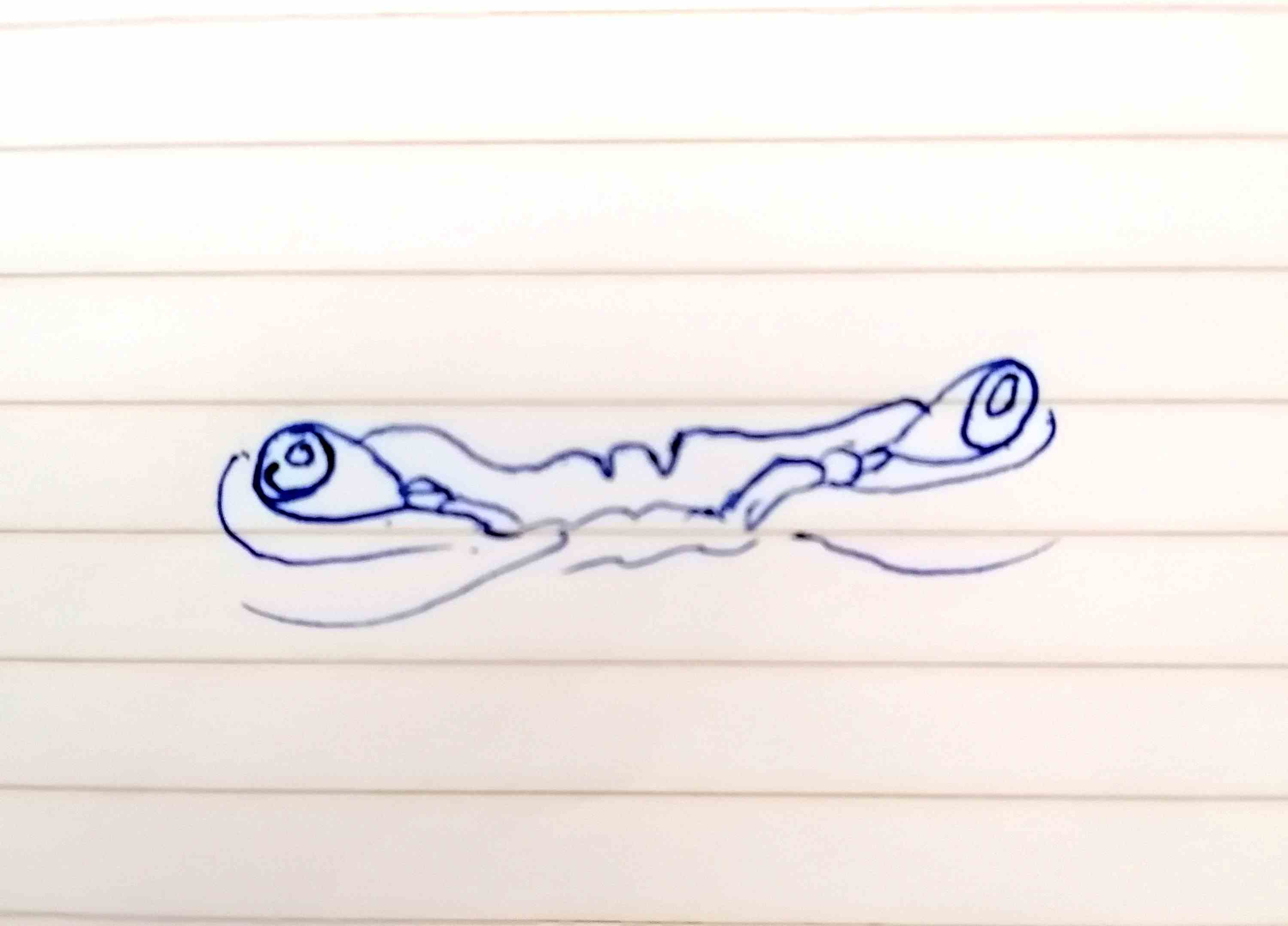 76531040306762094.jpg