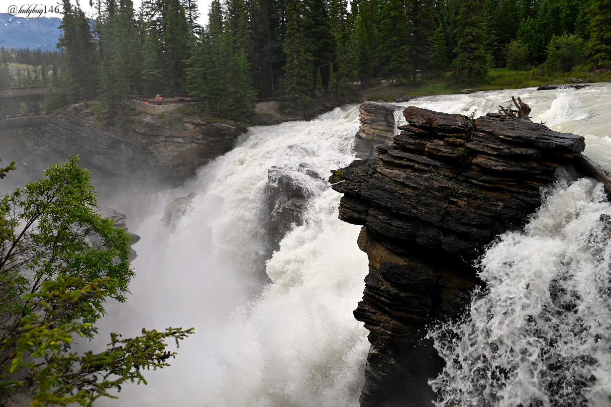 athabasca falls (10).jpg