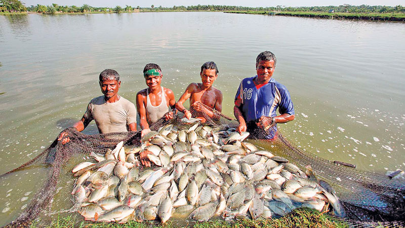 Fishing_Bangladesh.jpg