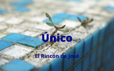 Único.png