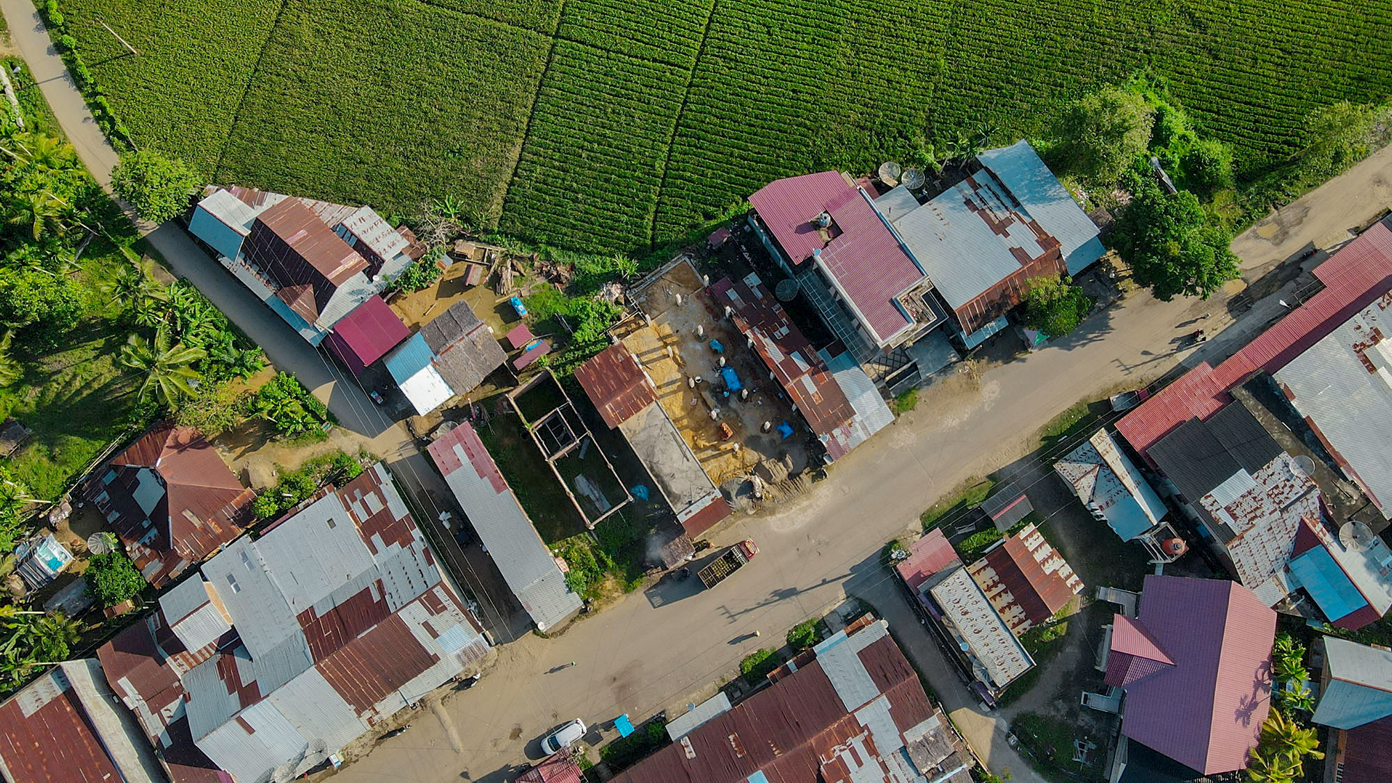 dji_fly_20221029_162116_534_1667036042724_photo.jpg