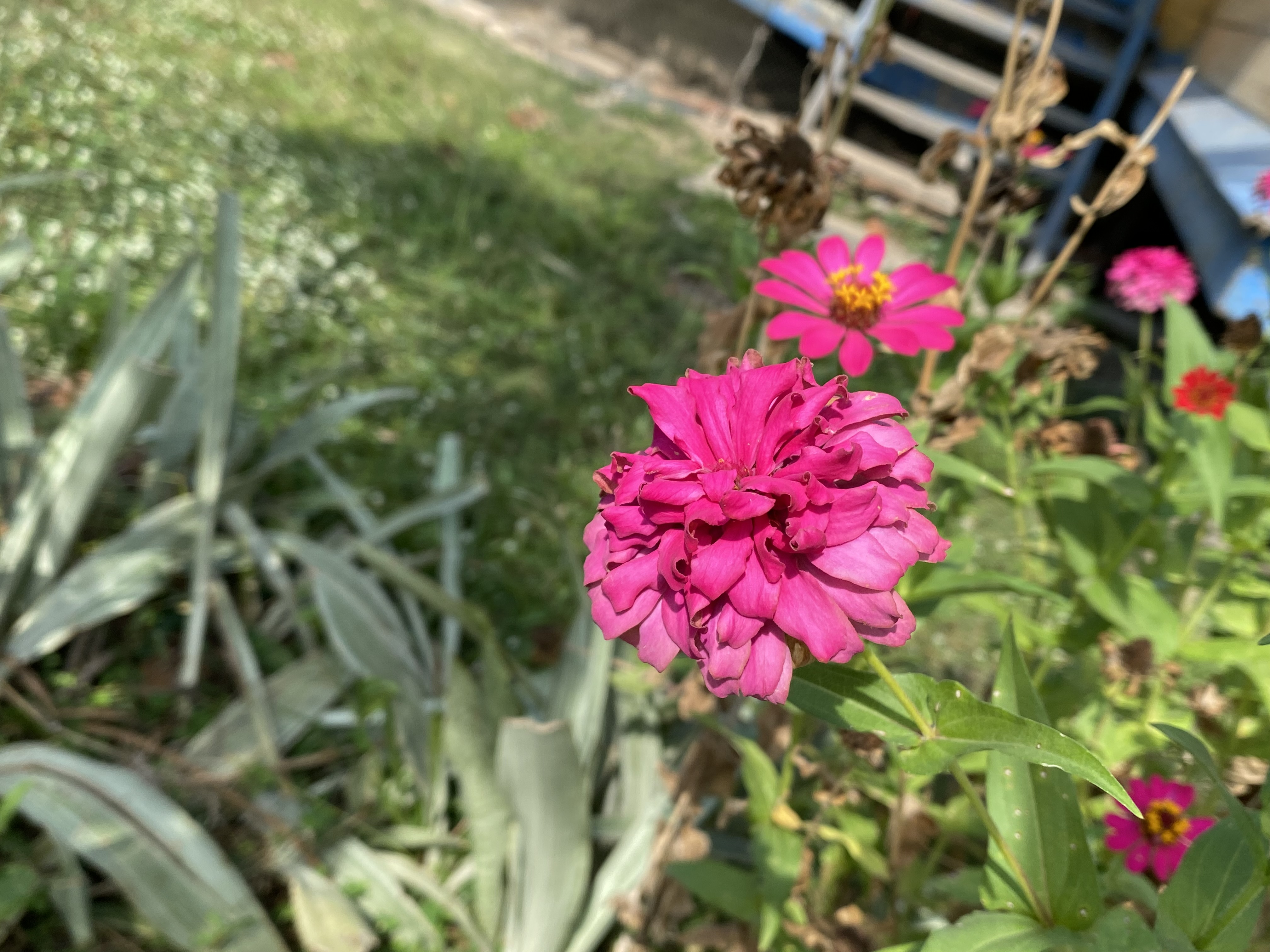 IMG_3581.jpeg