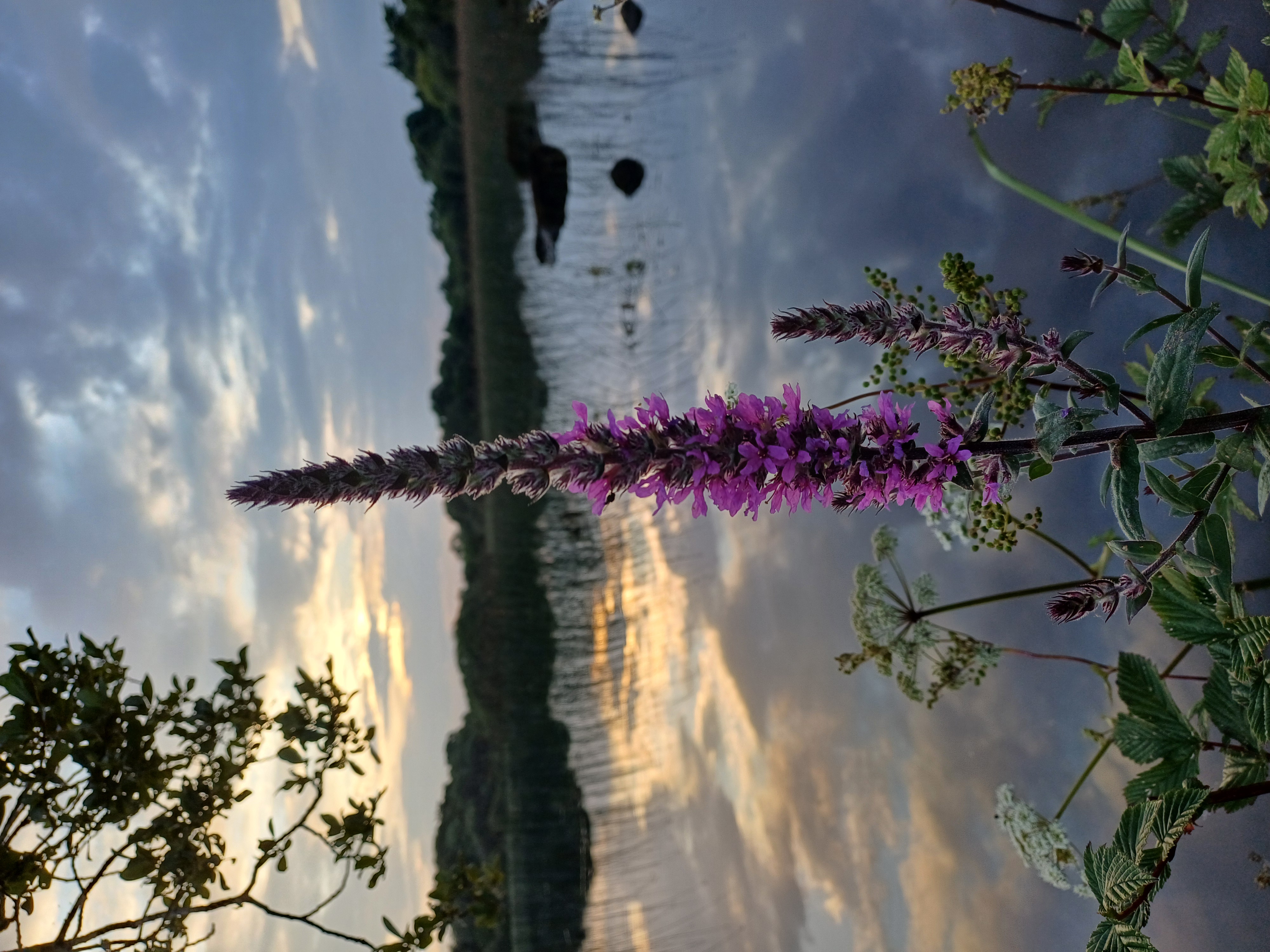 20250722_210015.jpg