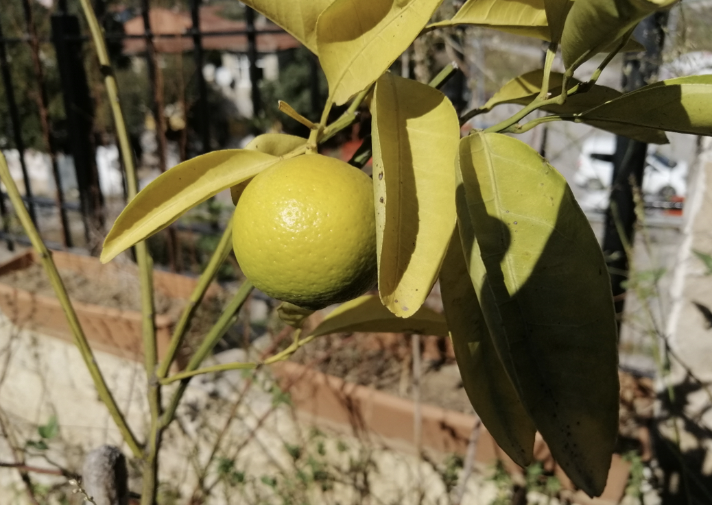 Screenshot_20221028_154015_com.android.gallery3d.png