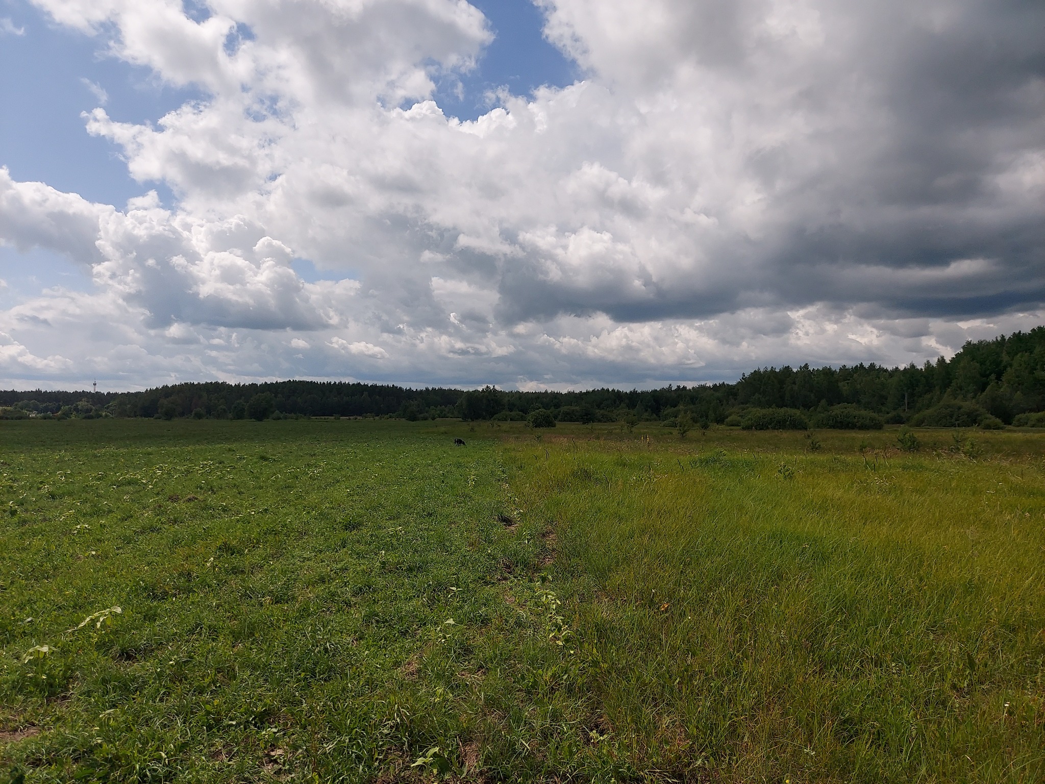 IMG_0132.jpeg
