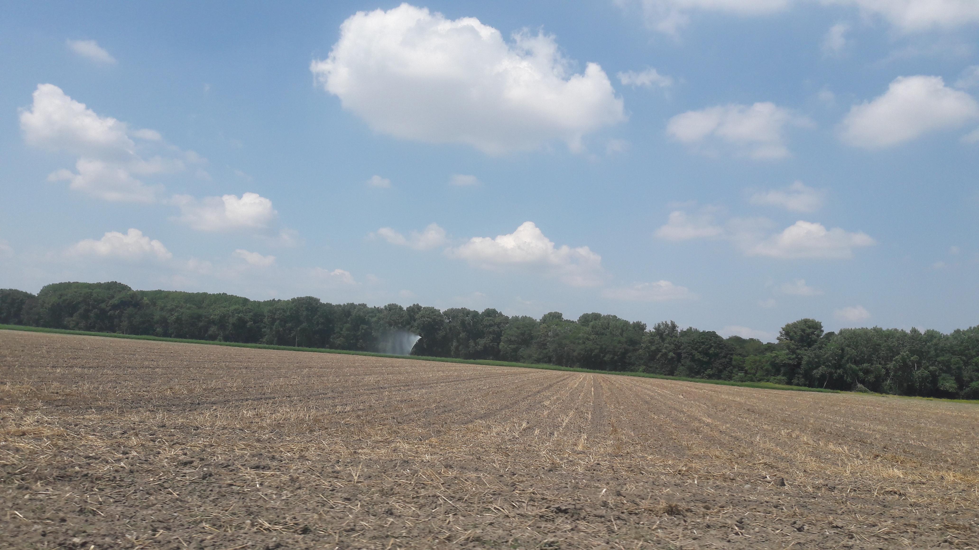 Flora-Fields-Farming-Seed-Publicdomain (1).jpg