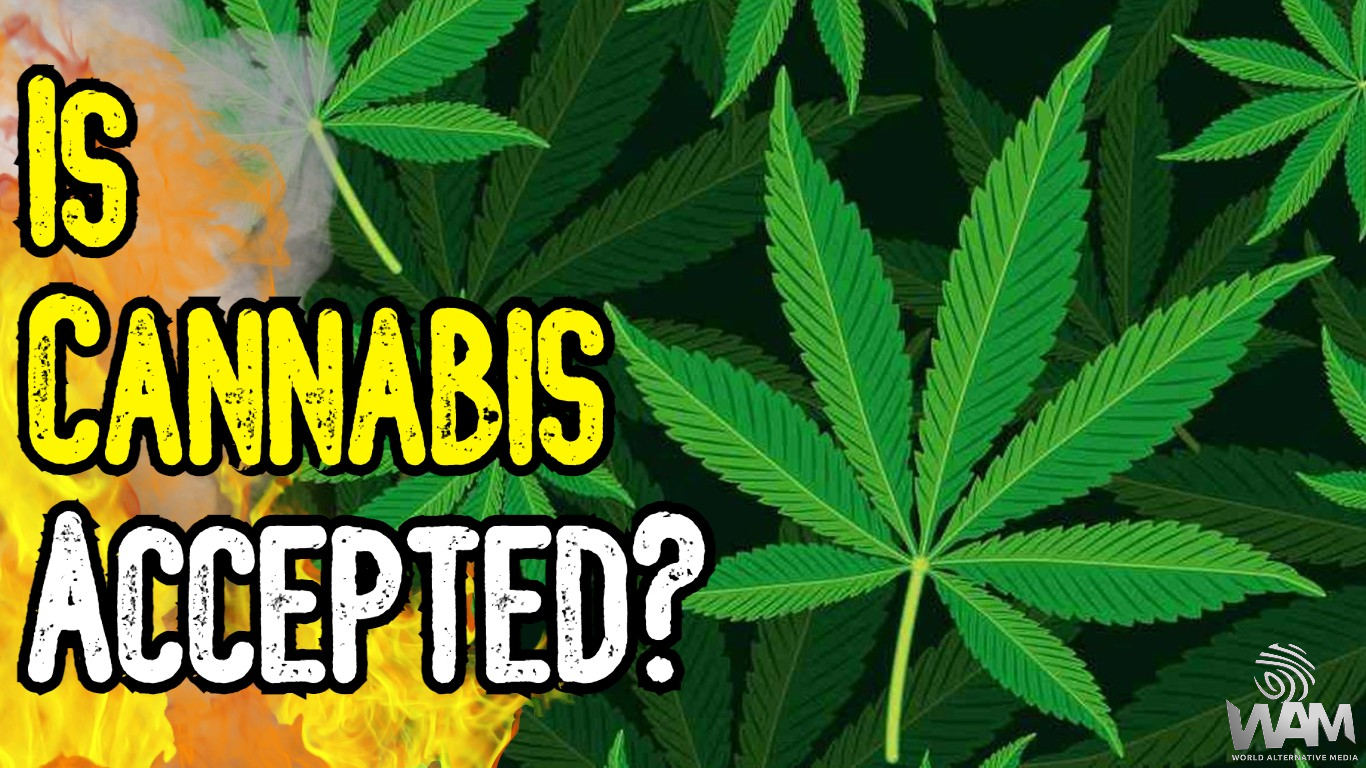 is cannabis finally accepted thumbnail.png