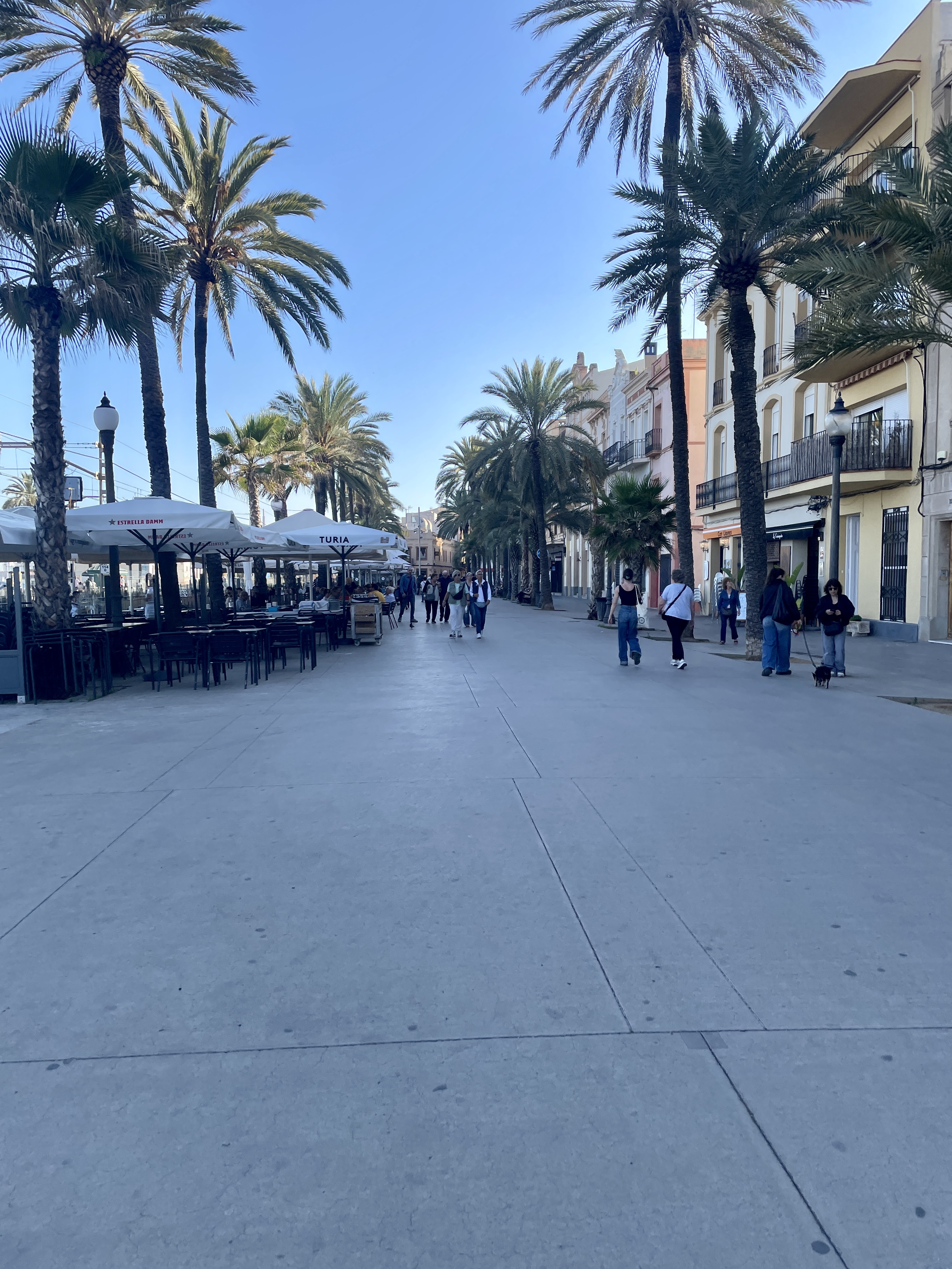 IMG_5336.jpeg