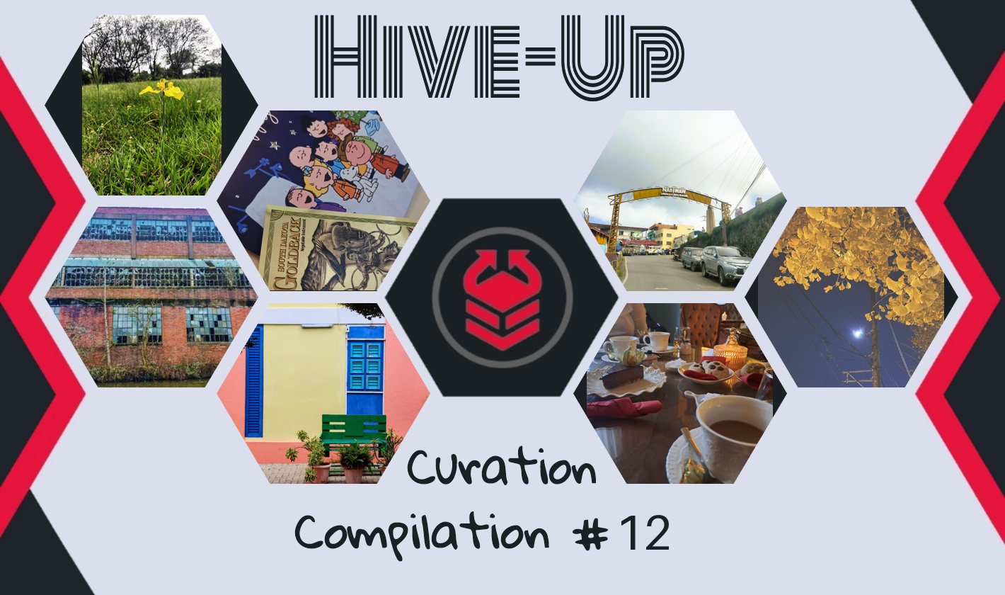 hive-up_12.jpg