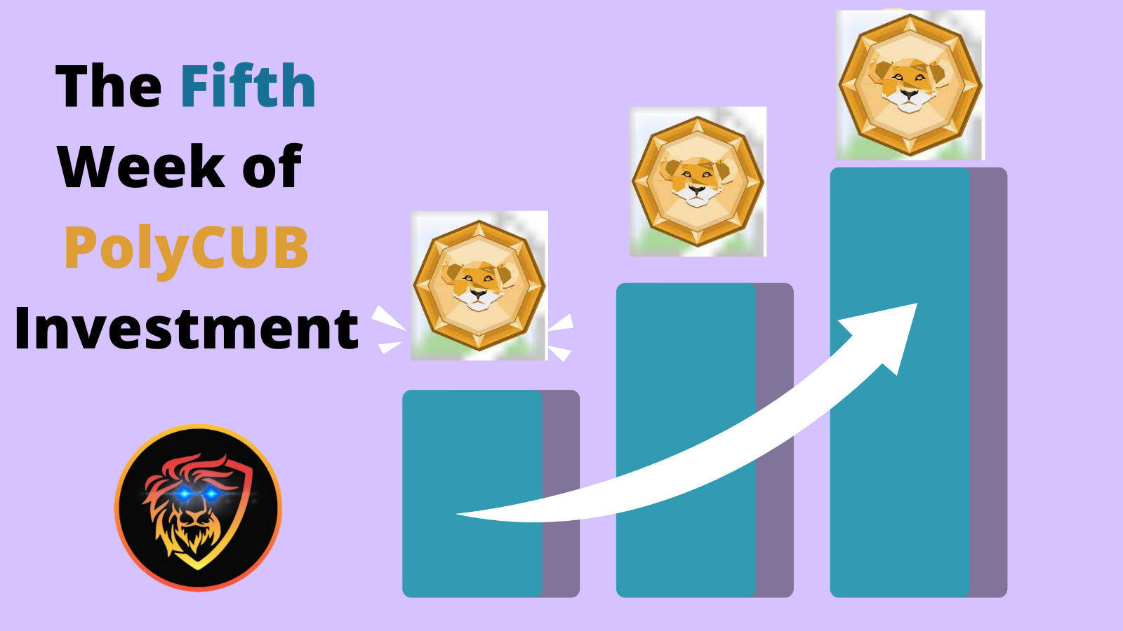 fifth week of investment in PolyCUB platform on Polygon Ethereum network.png