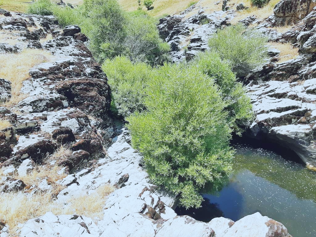 20250611_114327_edit_134079069007663.jpg