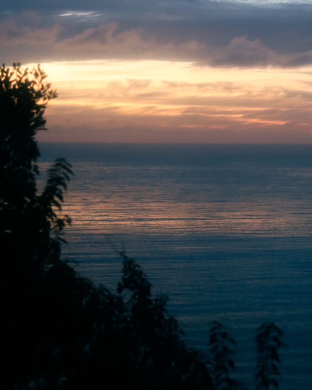 Un temblor de luz, un susurro del mundo que se apaga, y entre sombras, los árboles vigilan el s.heic.jpg