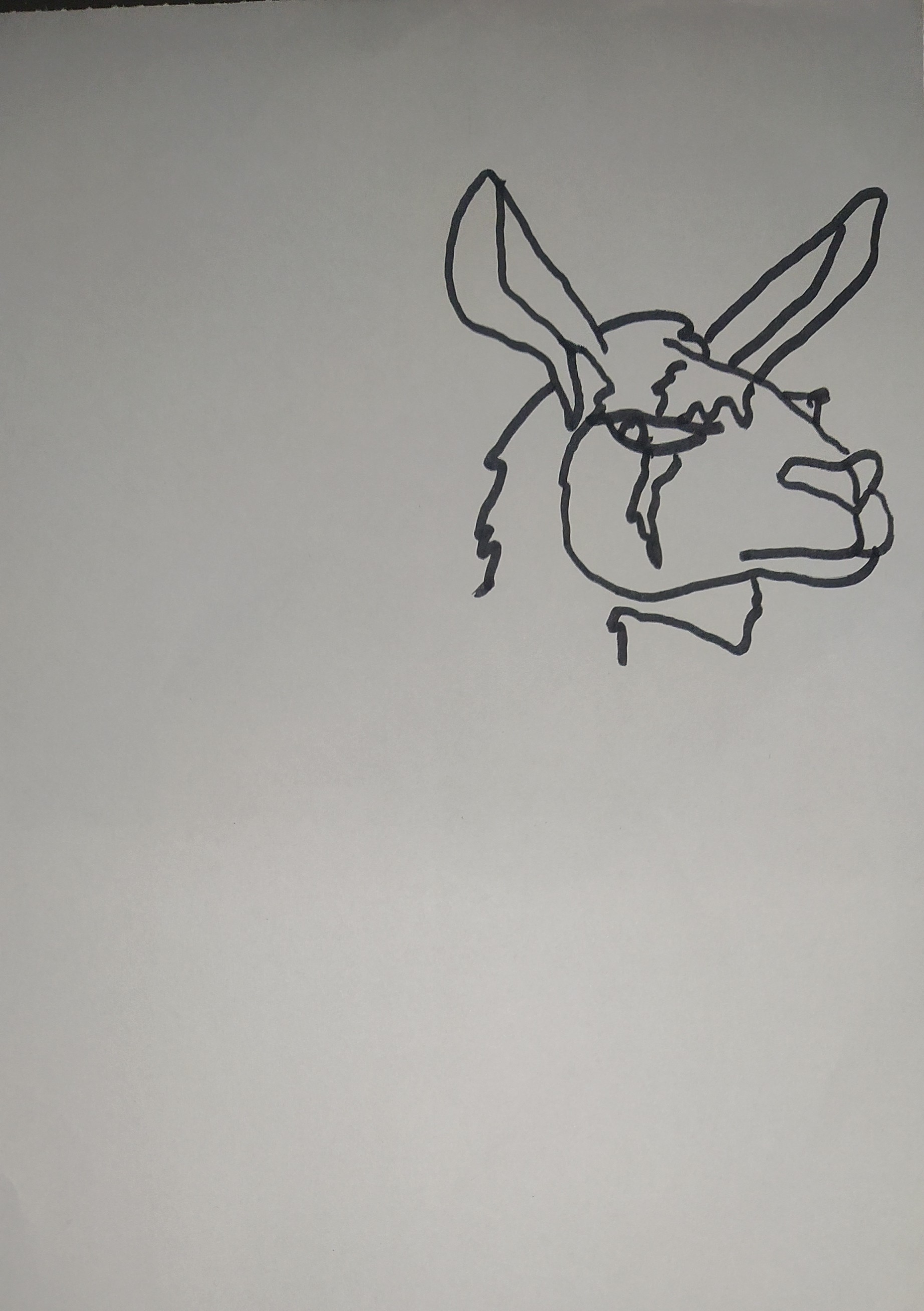 Splinterlands Art Contest Week 176 Drawing Scarred Llama Mage — Hive