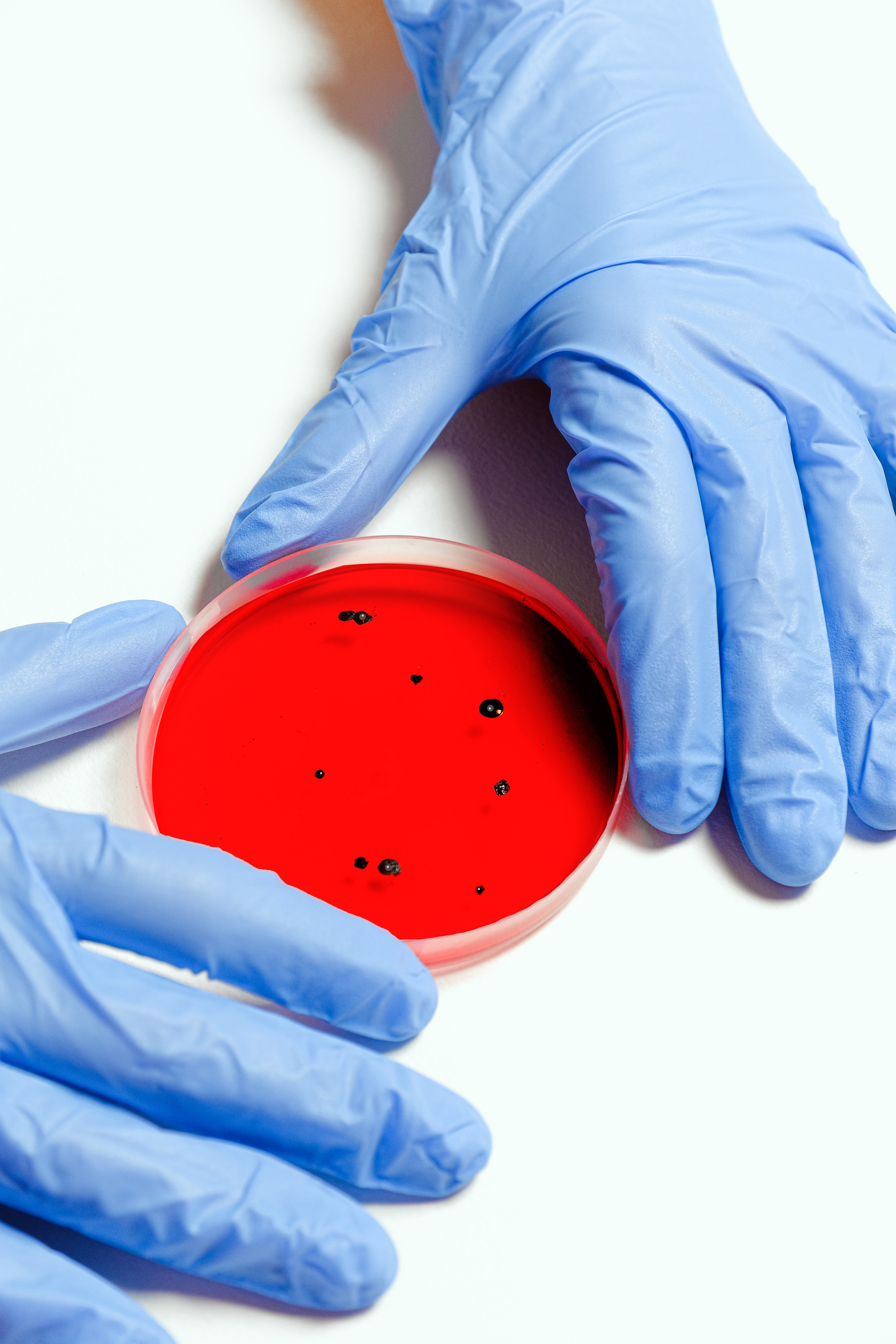 scientist-holding-petri-dish-3786247.jpg