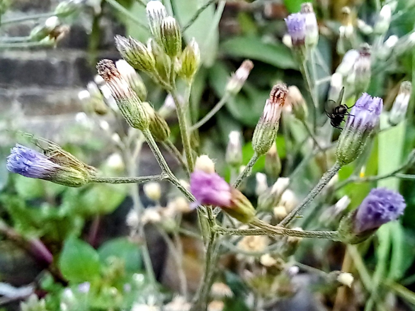 20250225_080746~2.jpg