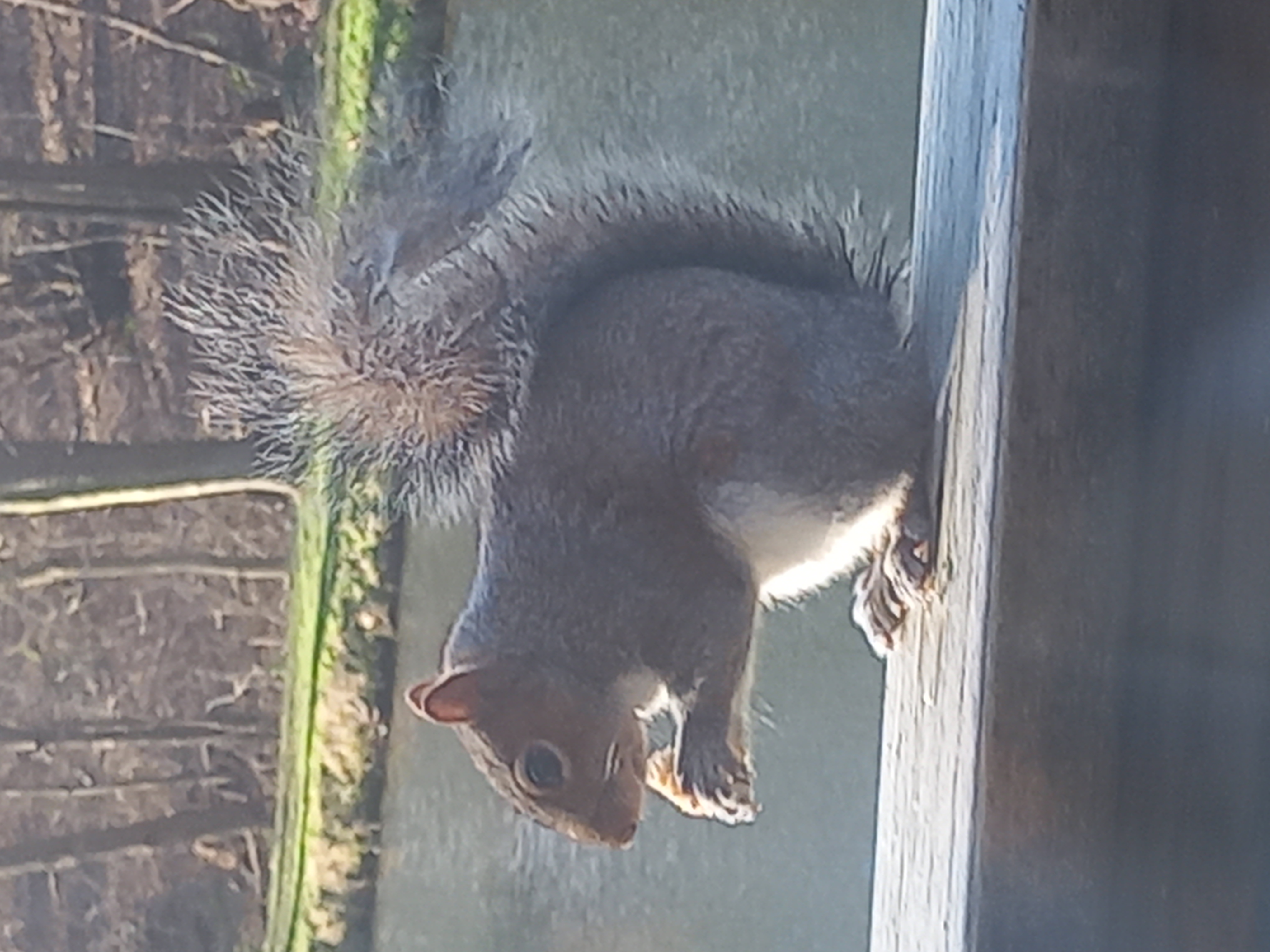 20240126_102153.jpg