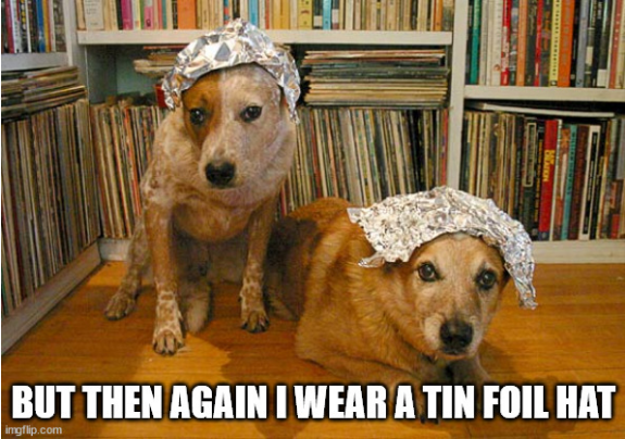 Screenshot 2021-08-16 at 16-58-17 tin foil dogs Meme Generator - Imgflip.png