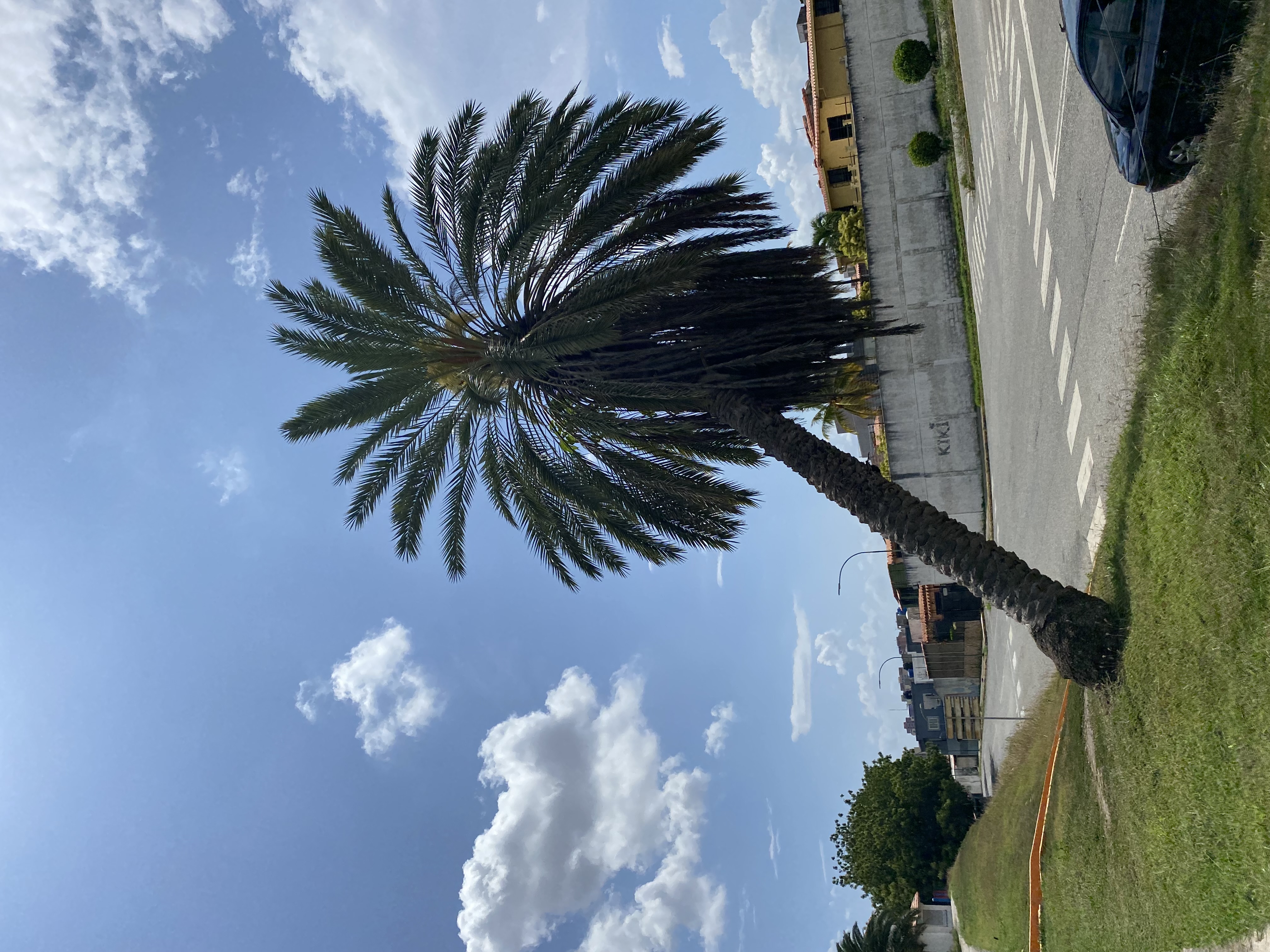 IMG_0248.jpeg