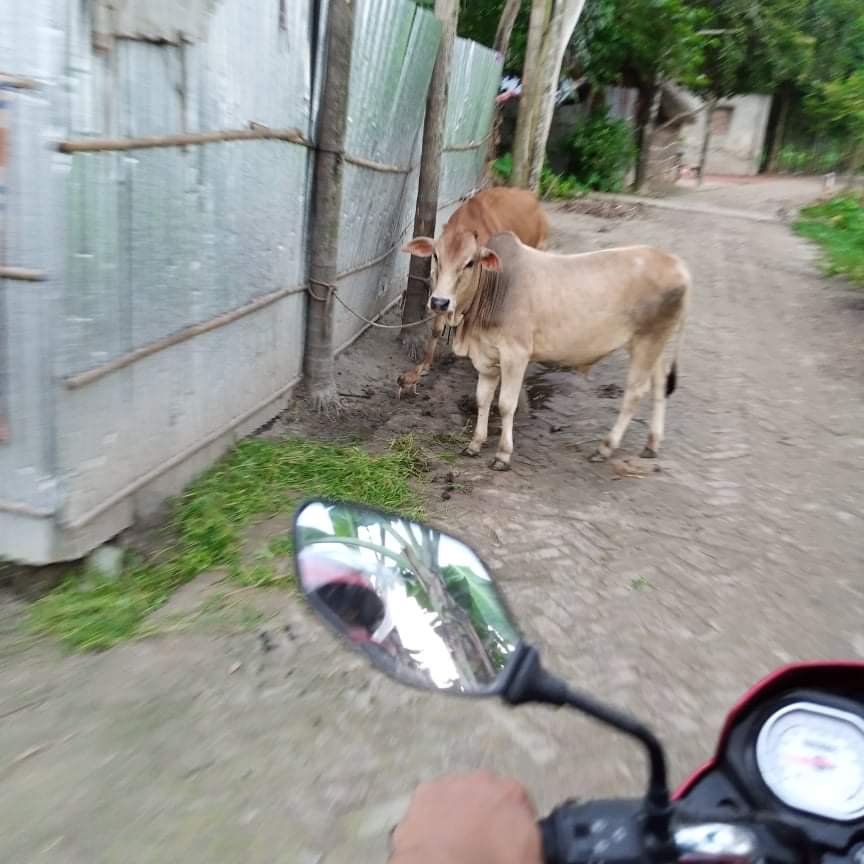 received_229052699189323.jpeg