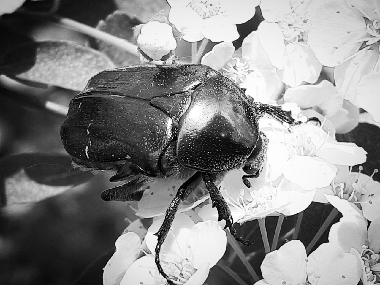 20220509_103340.jpg