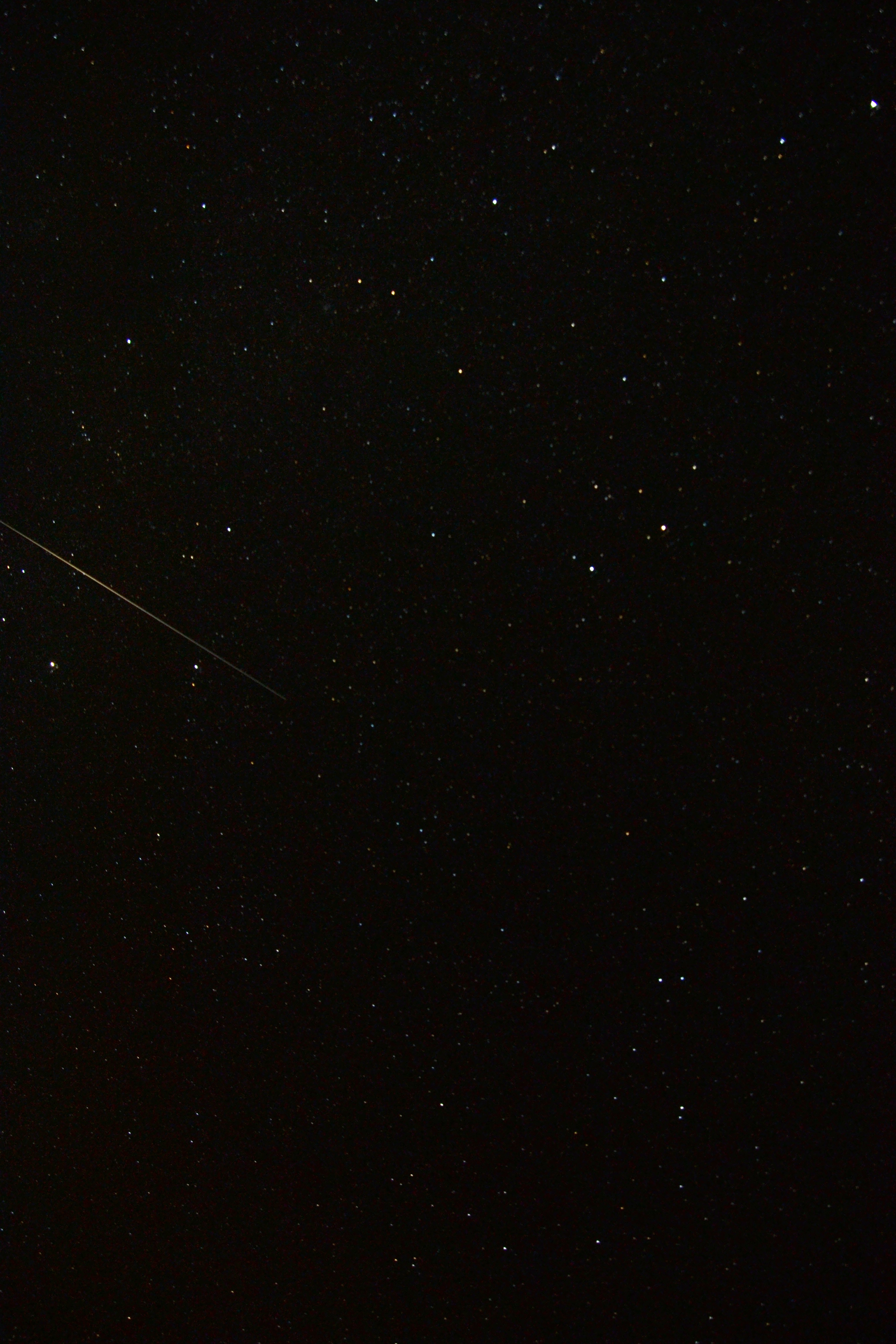 DSC_0282-01.jpeg