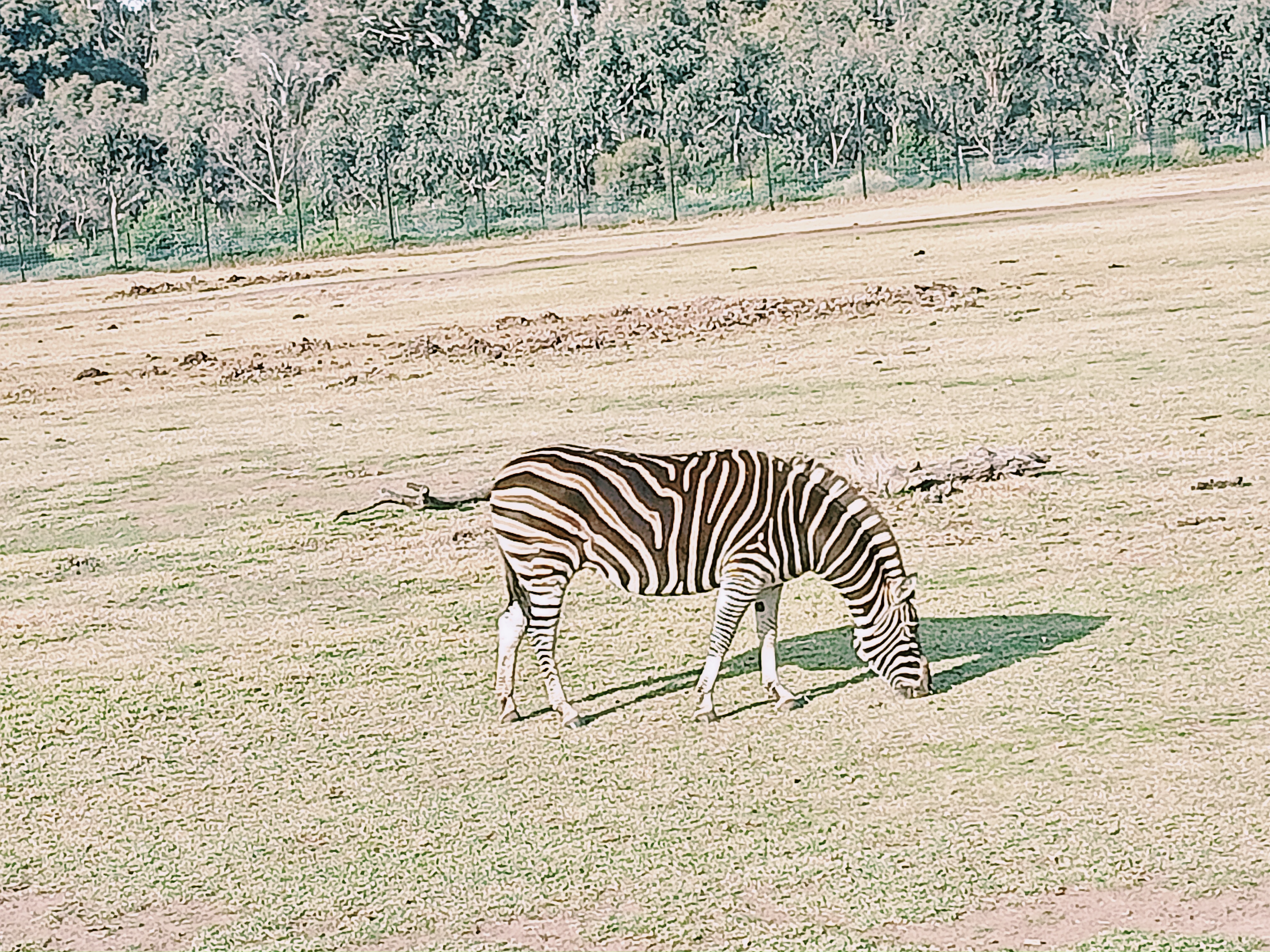 IMG20250601141504.jpg