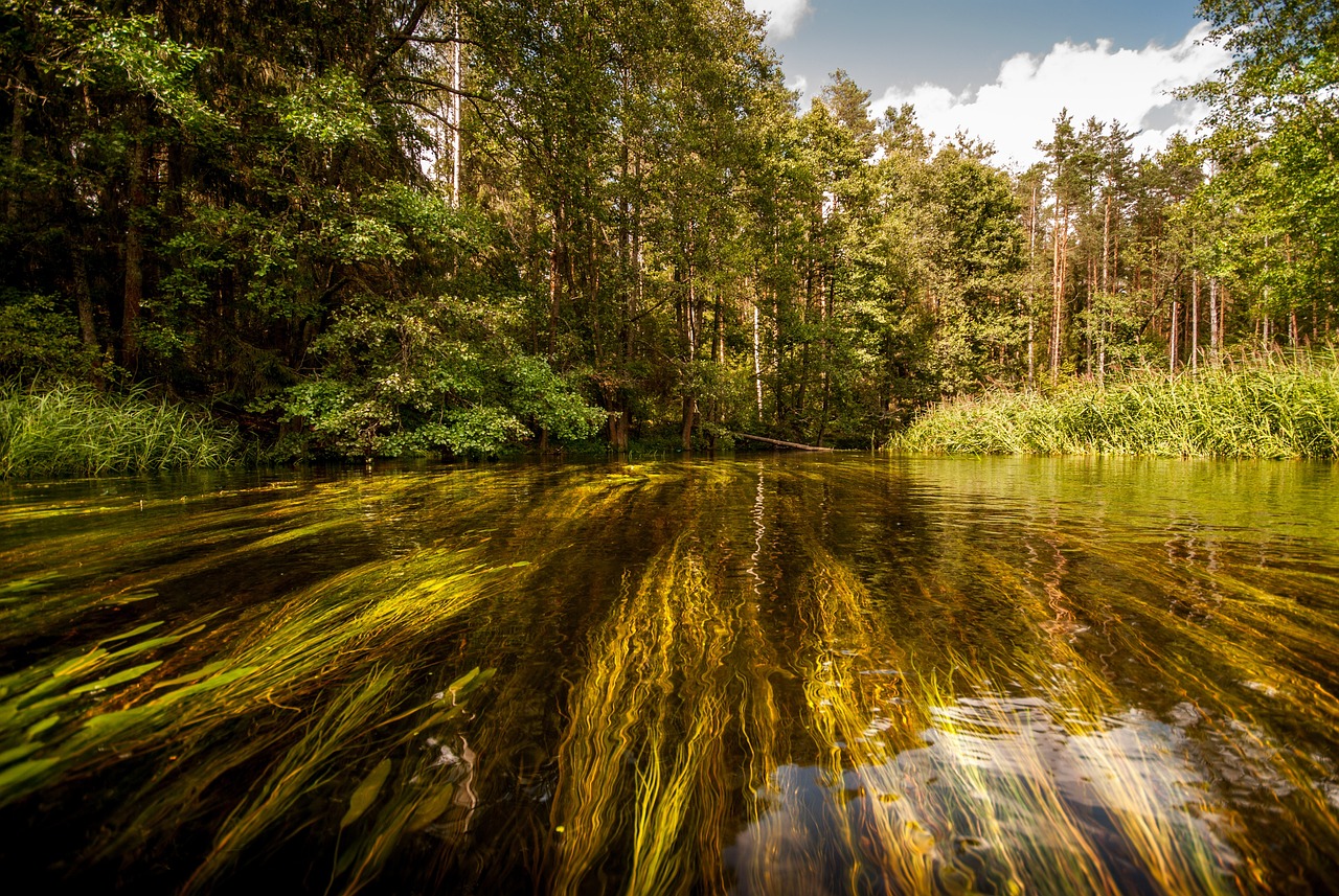 river-4269024_1280.jpg