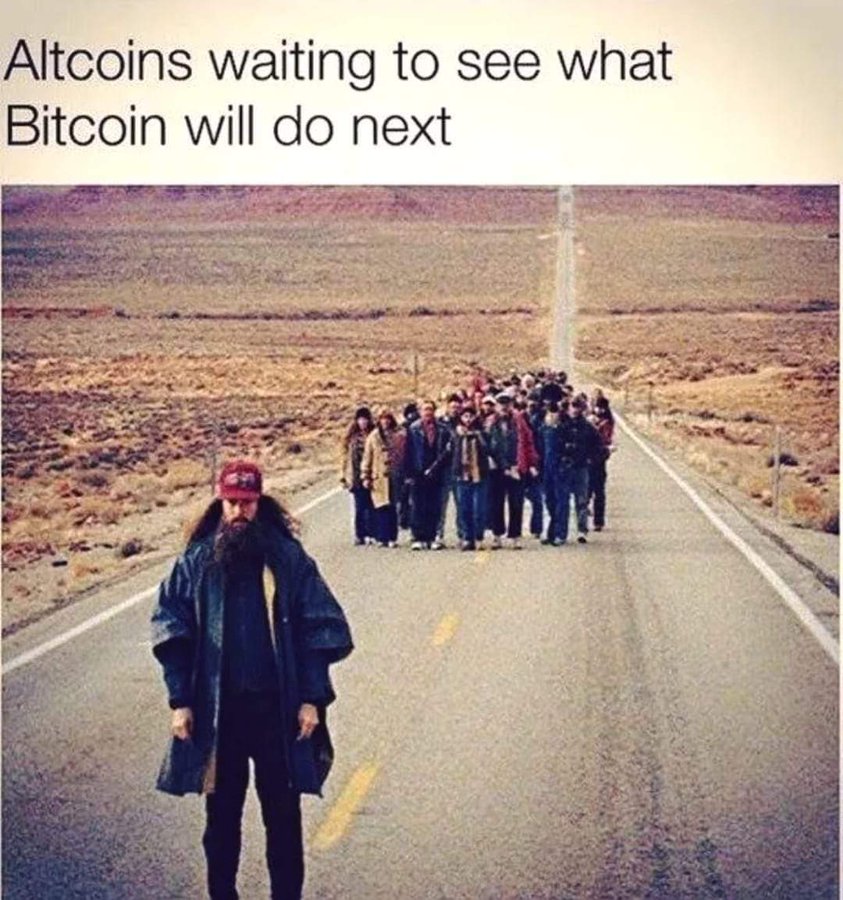 btcmem.jpg