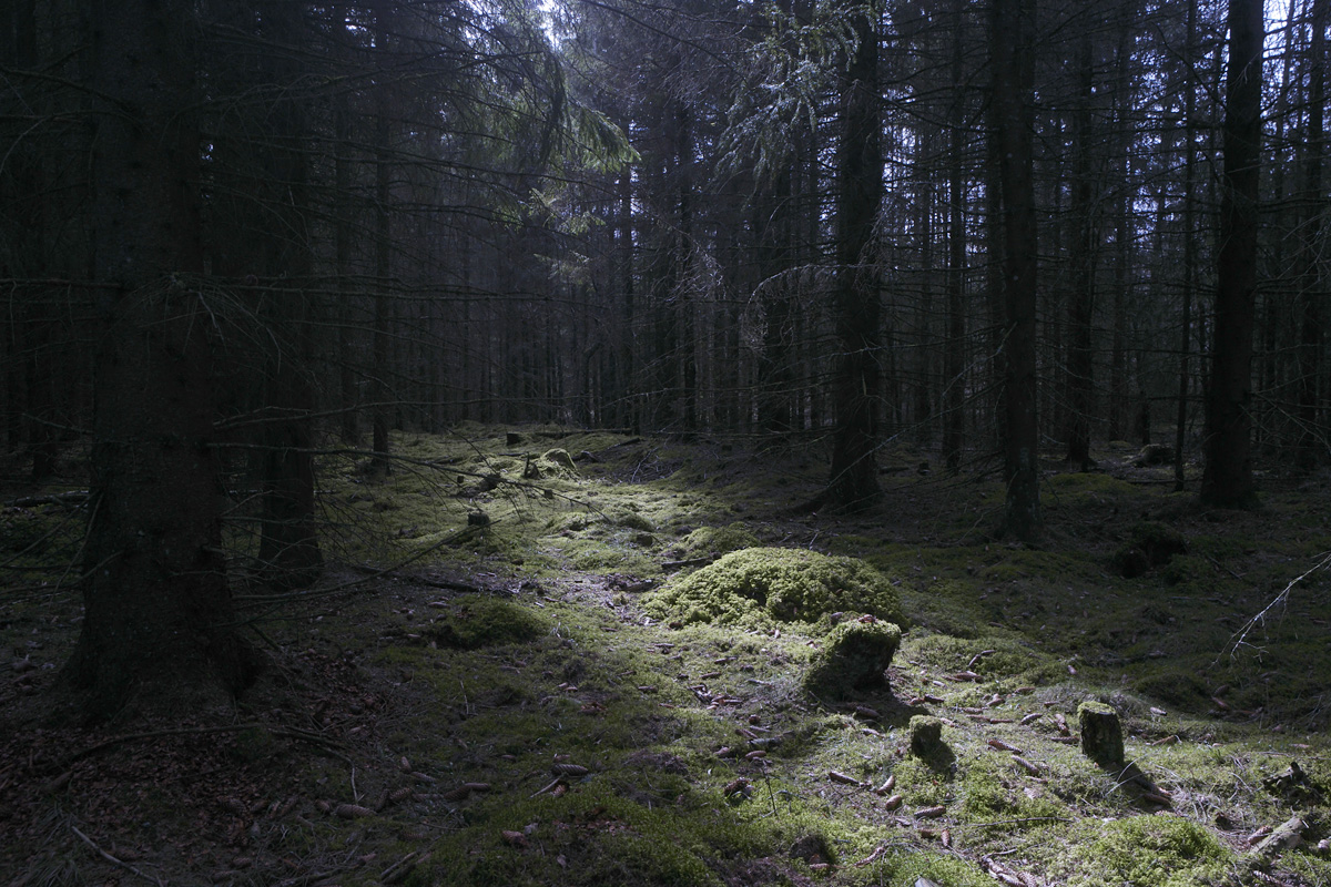 _SAM0454.JPG