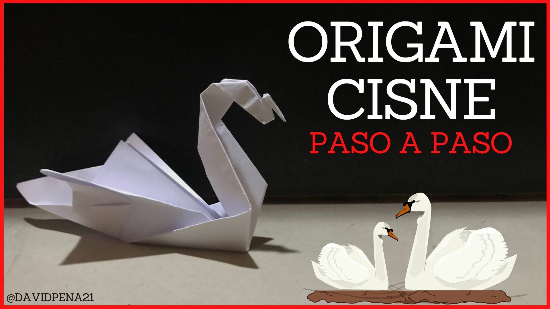 cisne.jpg