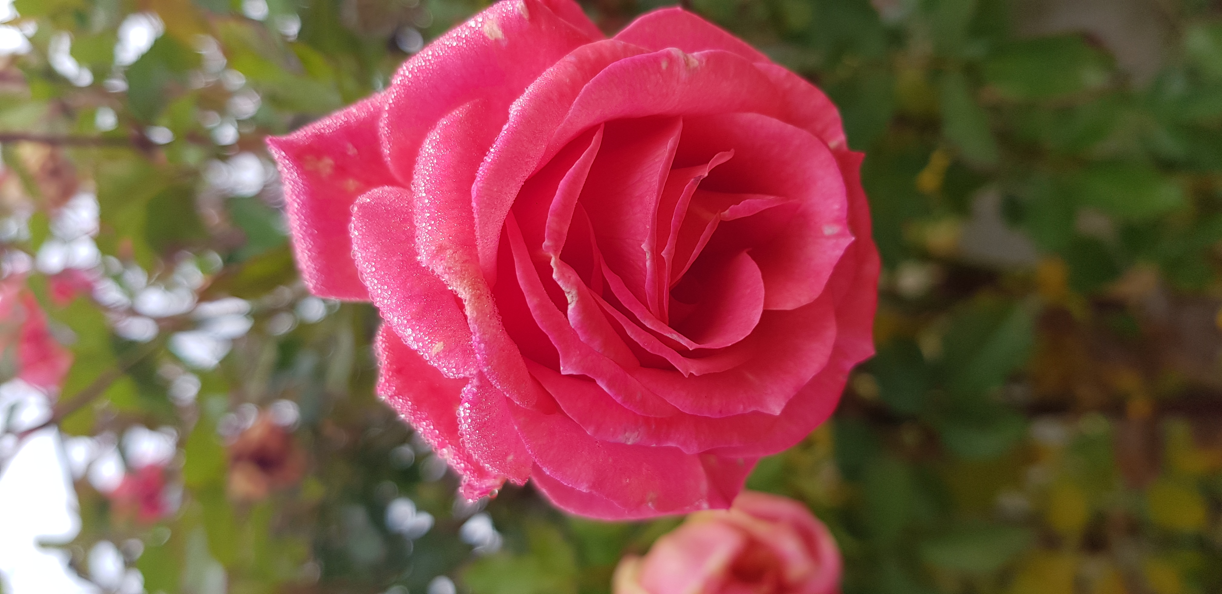 20221024_100212.jpg