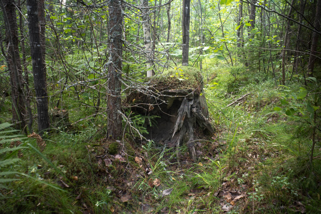 DSC08228.jpg