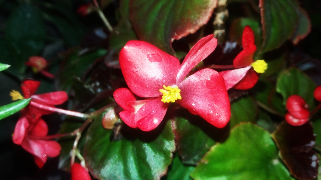 CYMERA_20201113_123254.jpg