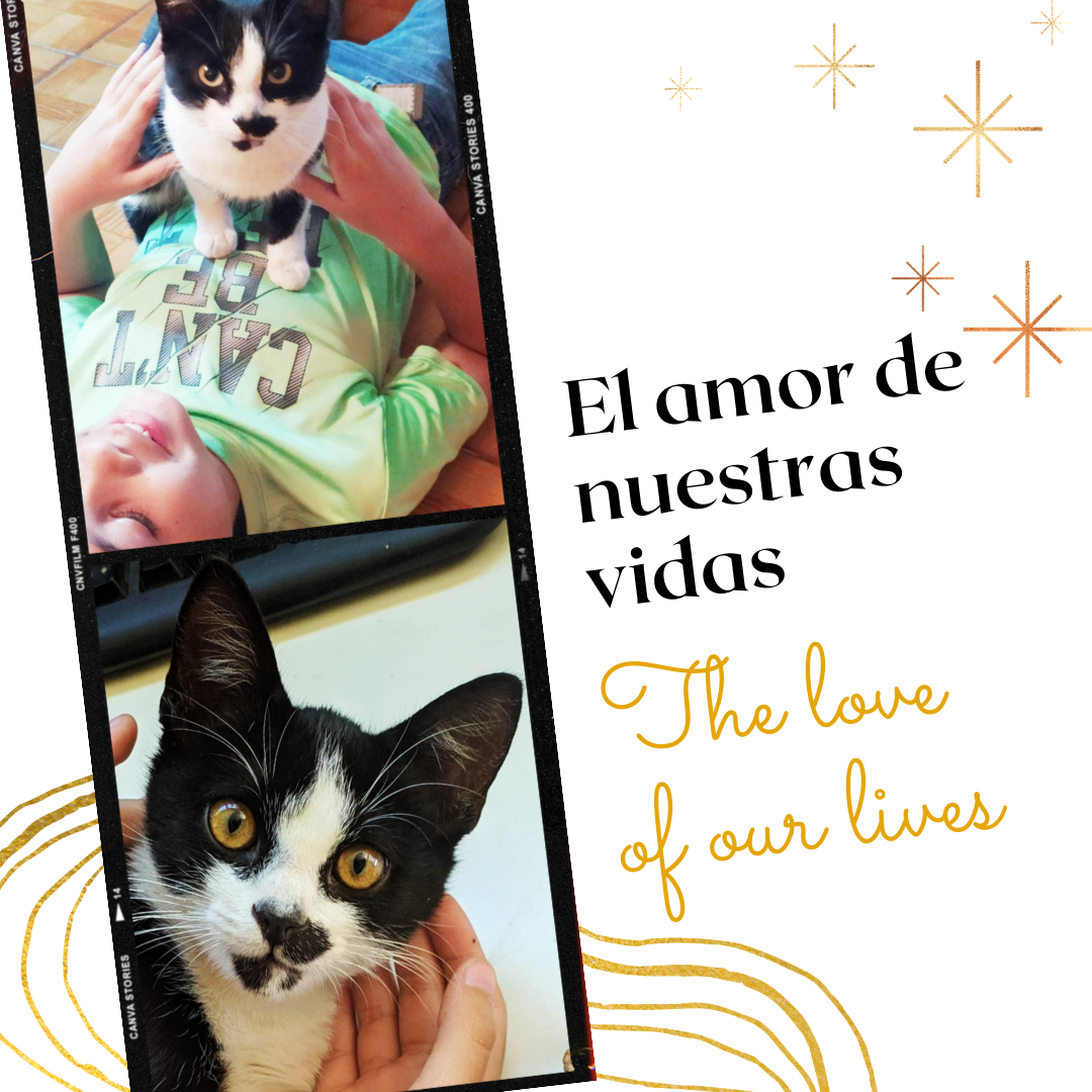 Instagram Post rollo de fotos con acentos dorados. Bienvenida a las 3 décadas.png