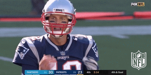 giphy (1).gif