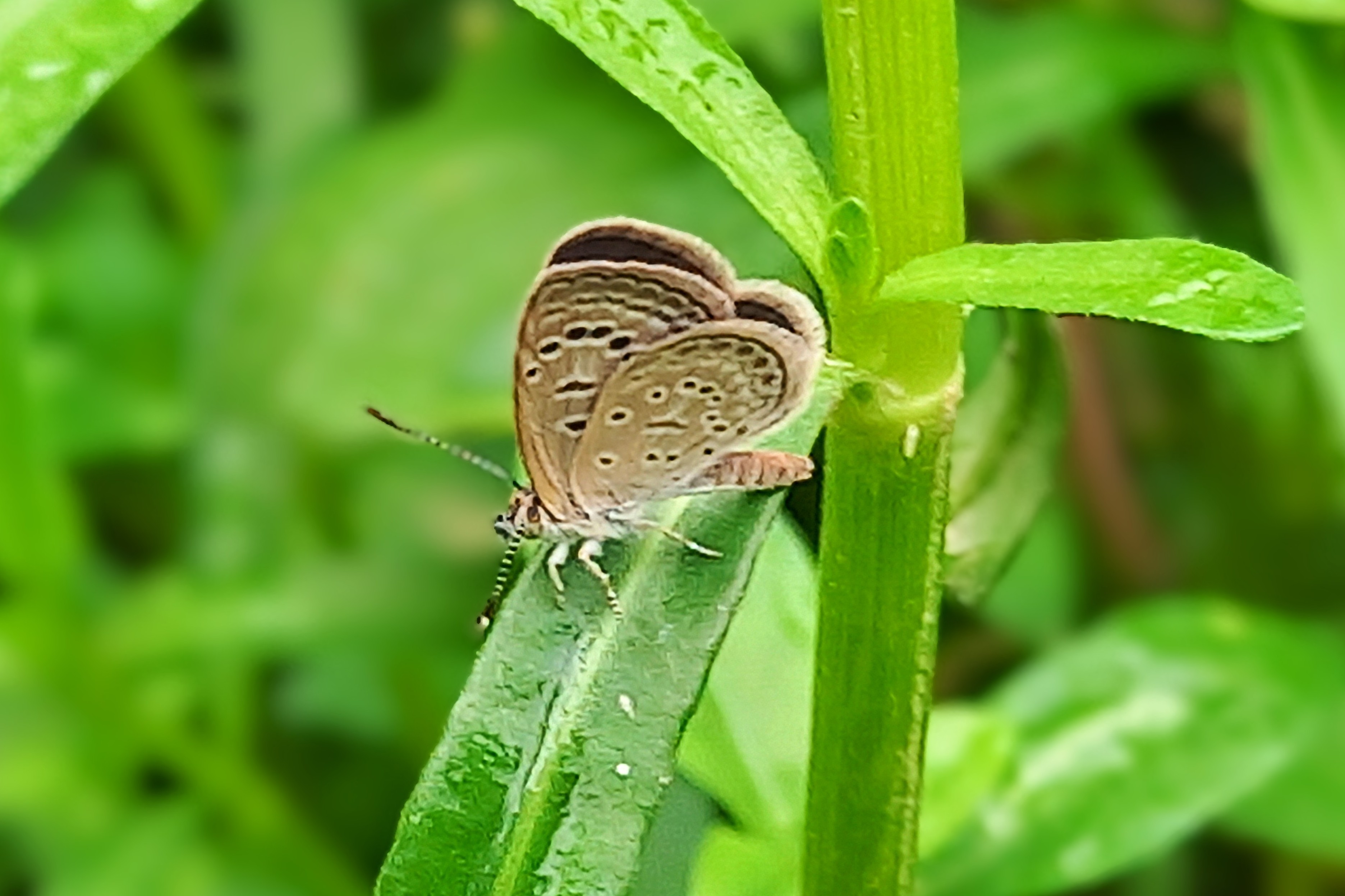 20250620_101547~3.jpg
