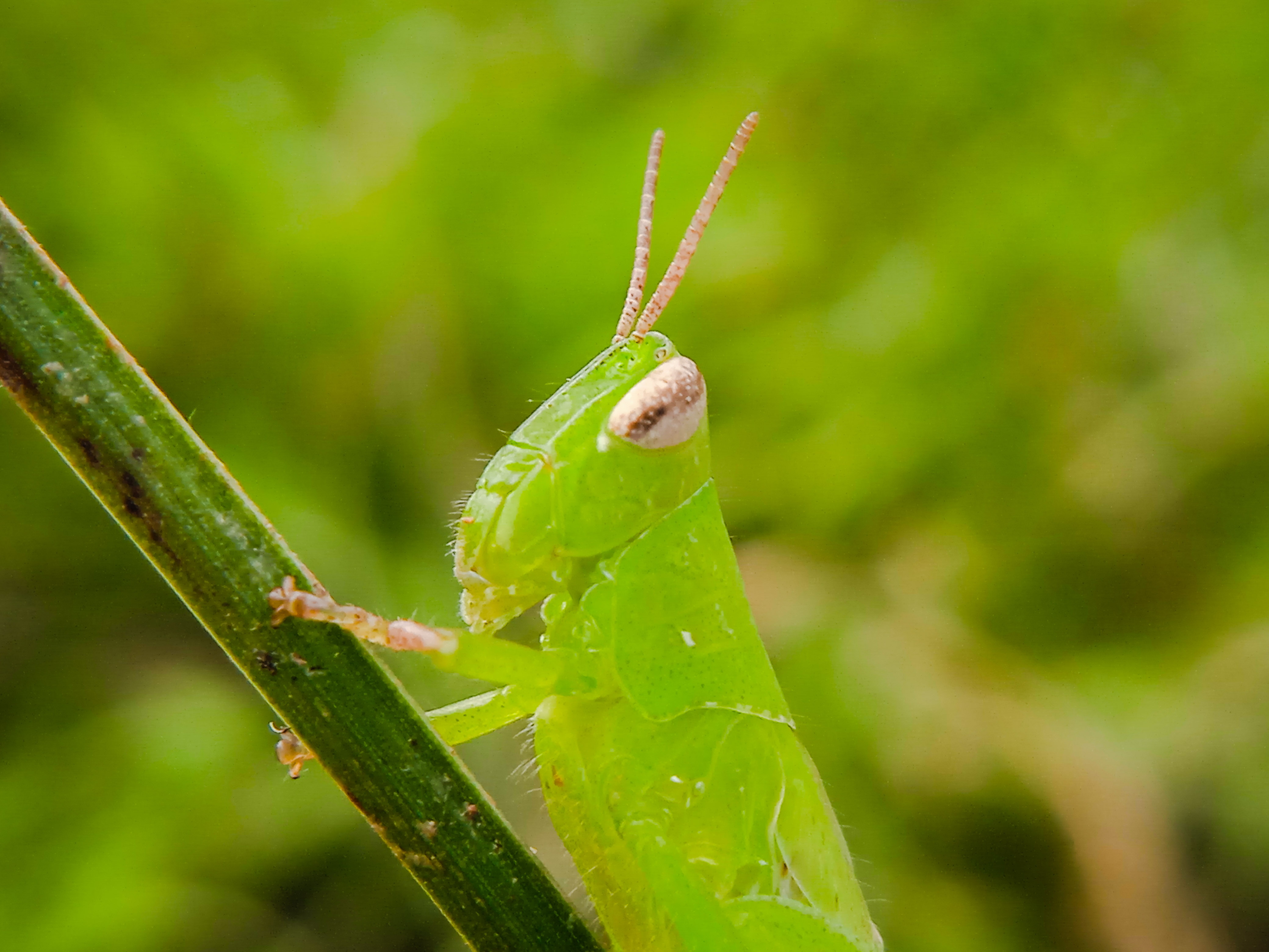IMG_20220124_235157.jpg