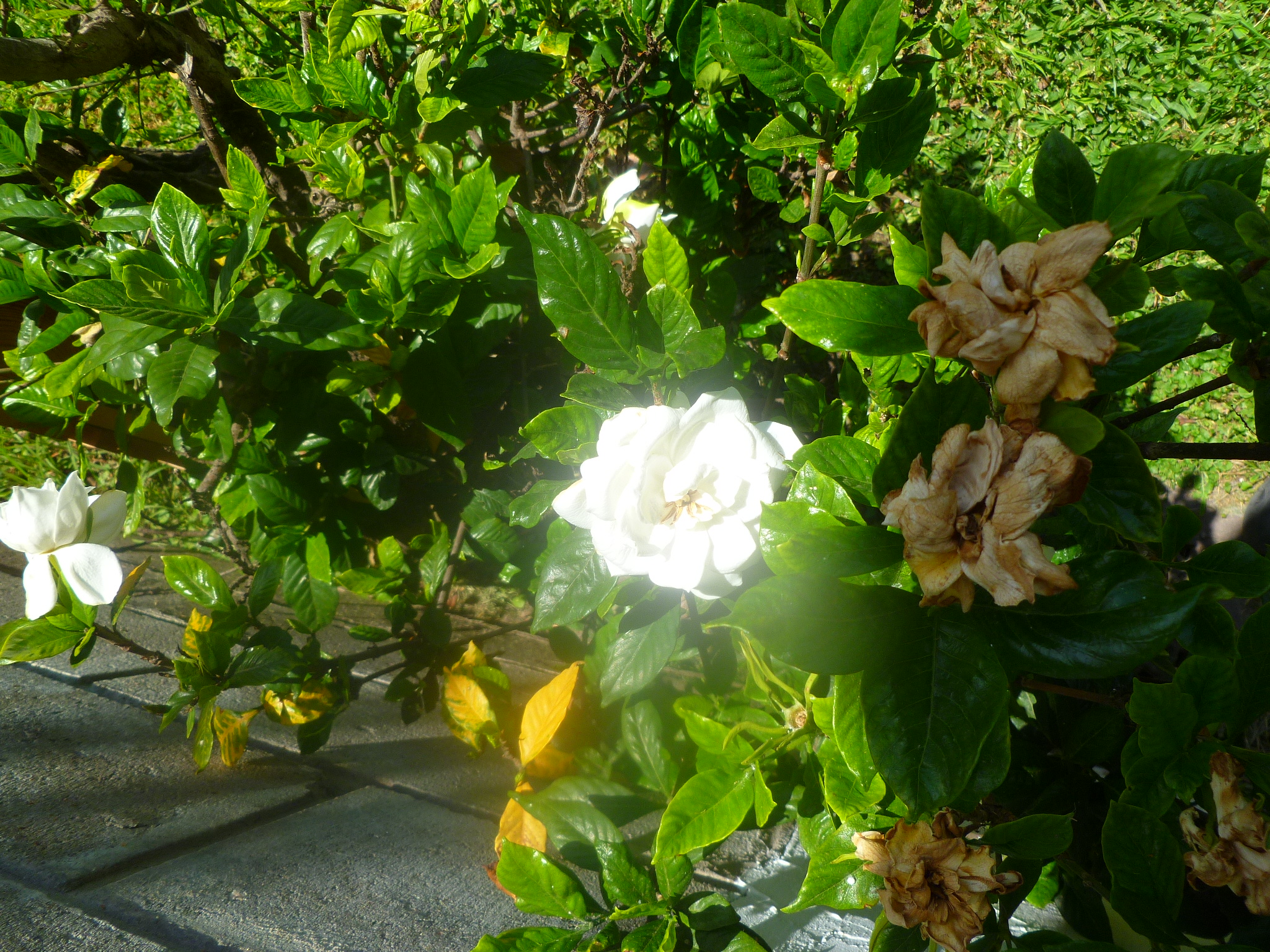 P1080359.JPG