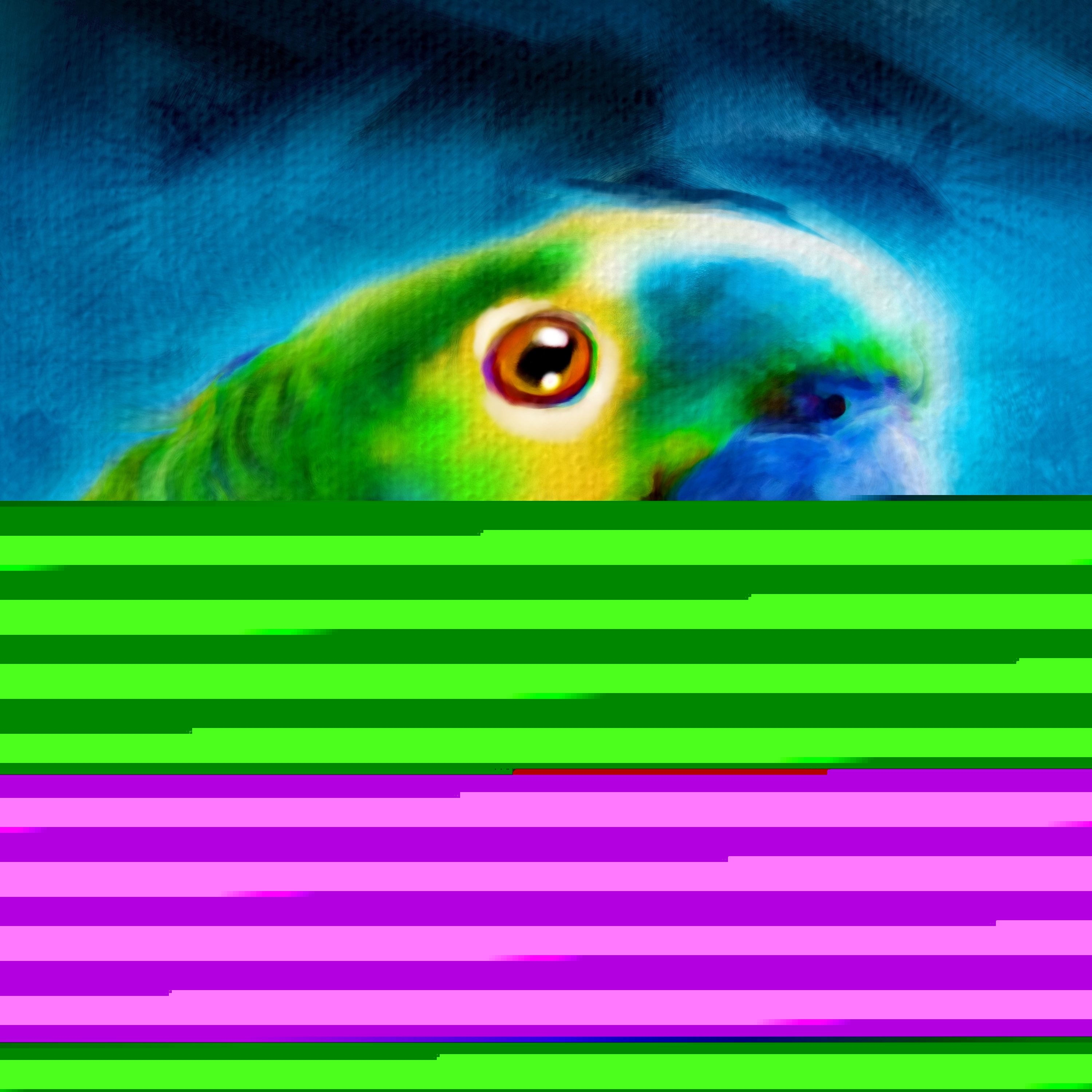df_bak.jpg