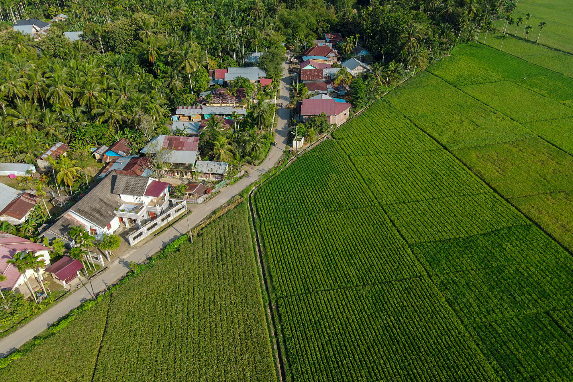 dji_fly_20221029_162414_543_1667036030246_photo.jpg