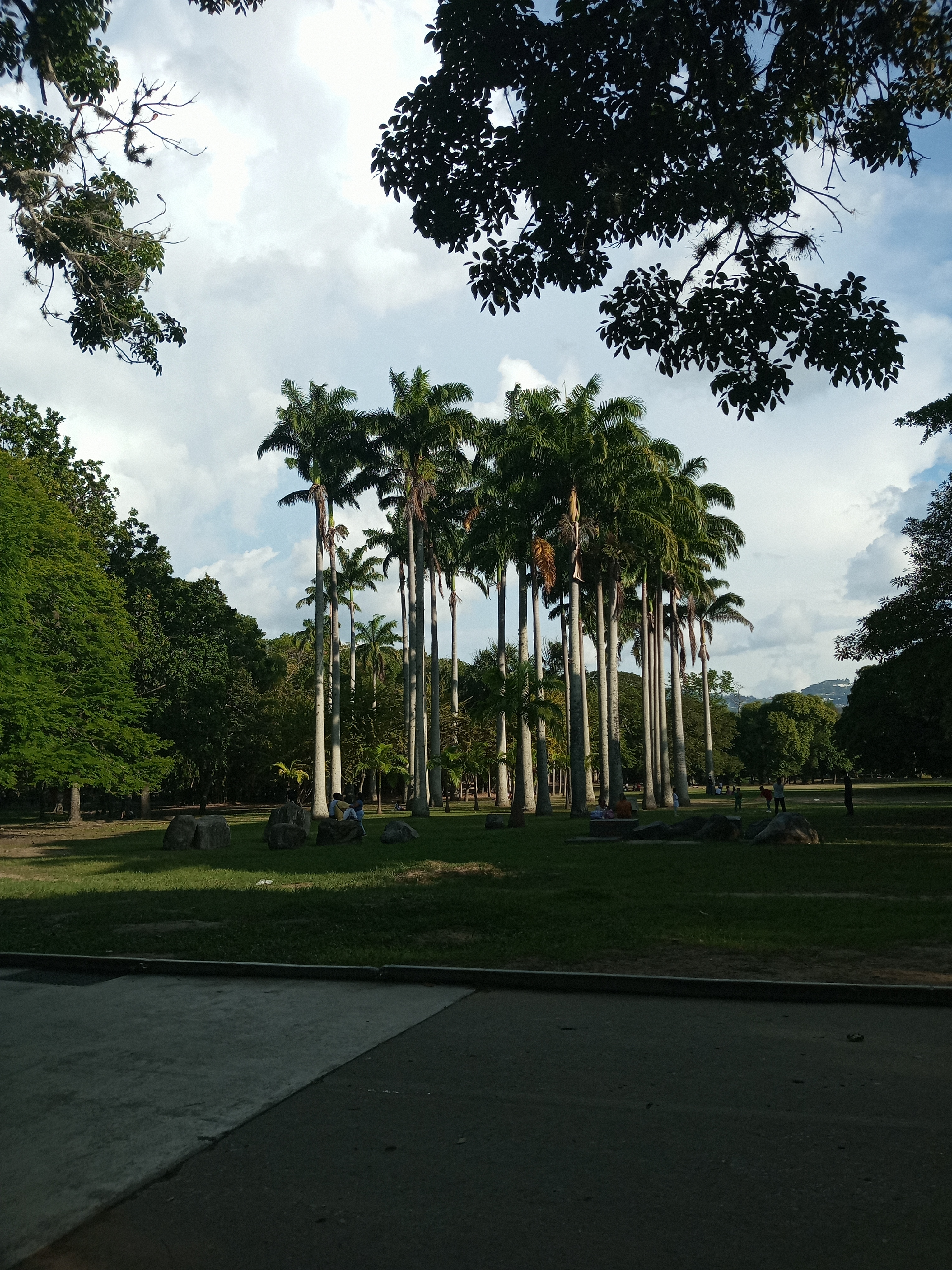 IMG_20250801_172048_018.jpg