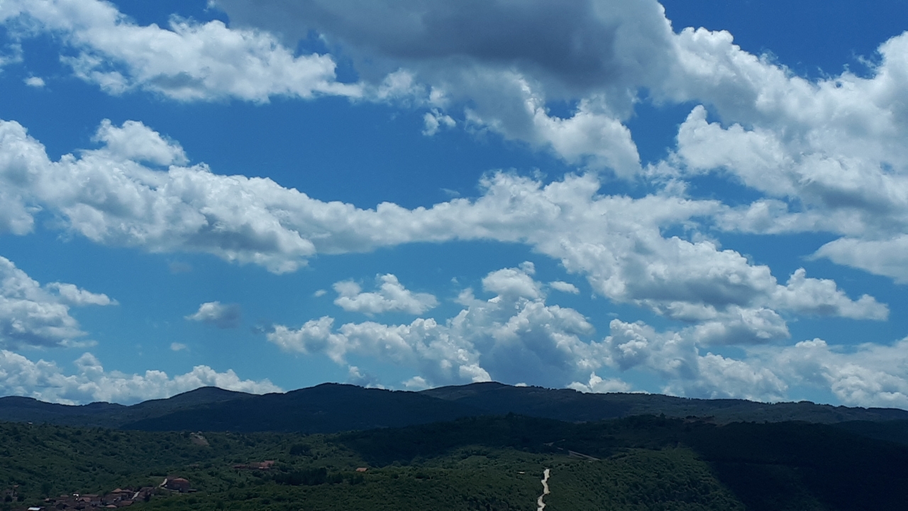 20250518_124210.jpg