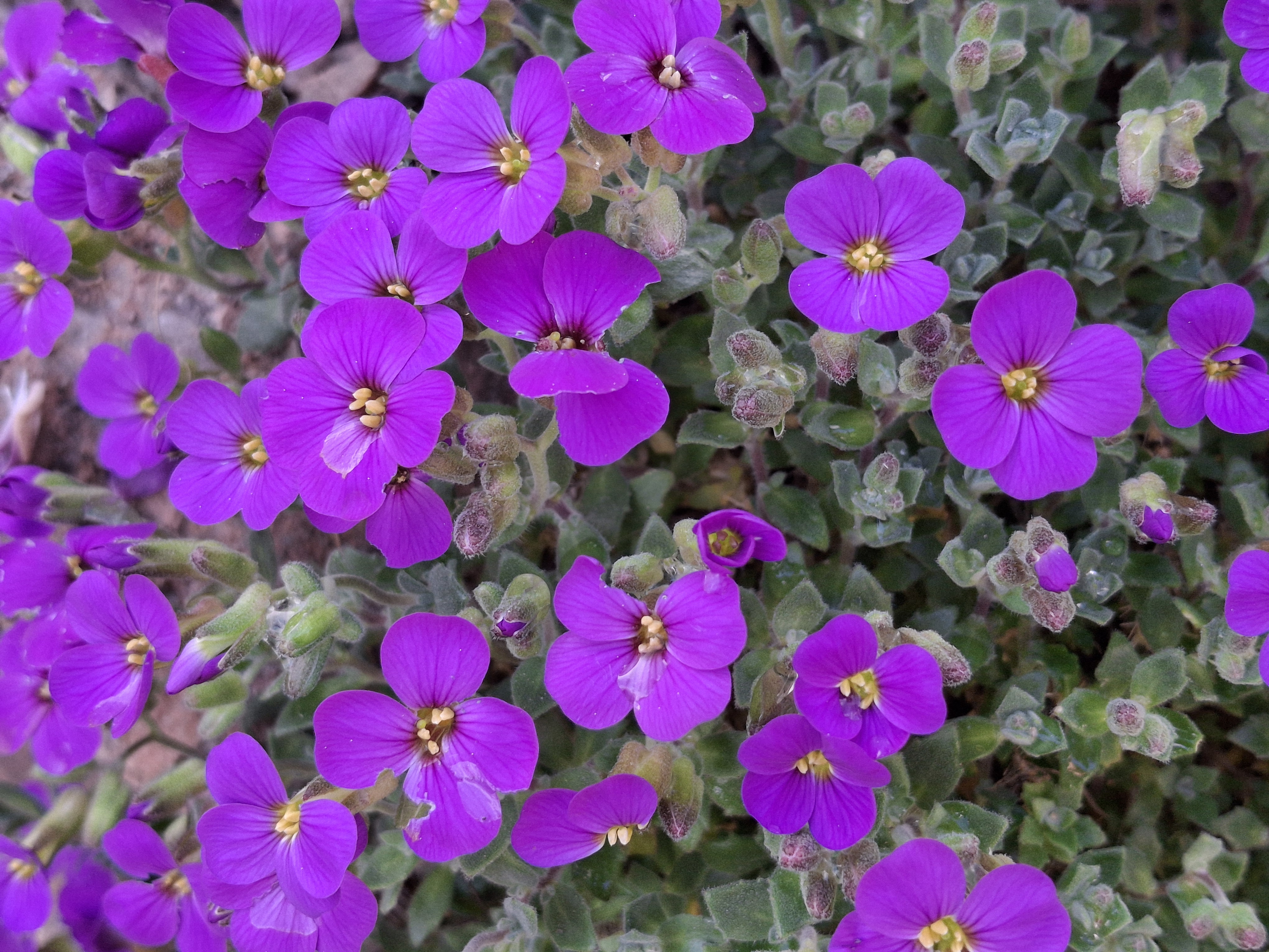 20240509_171936.jpg