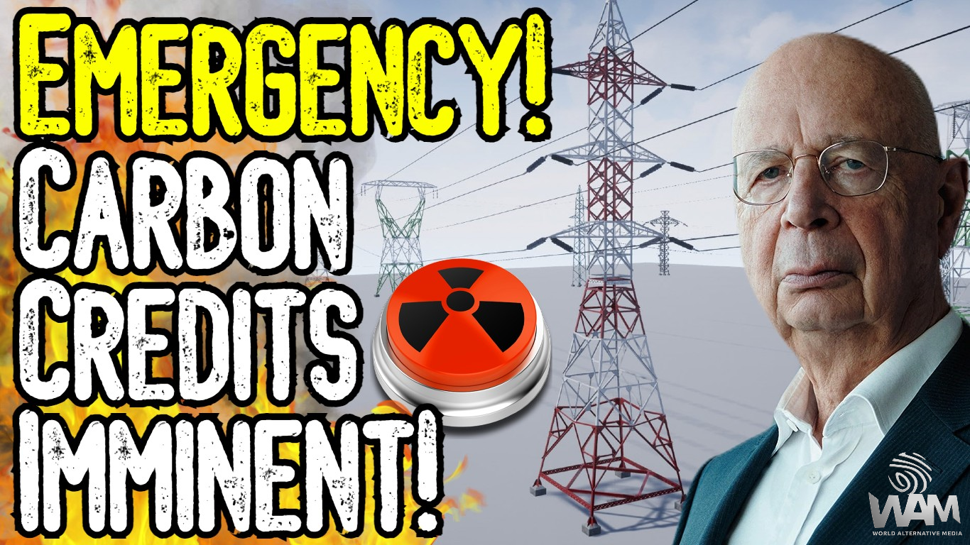 emergency carbon credits imminent wam.png