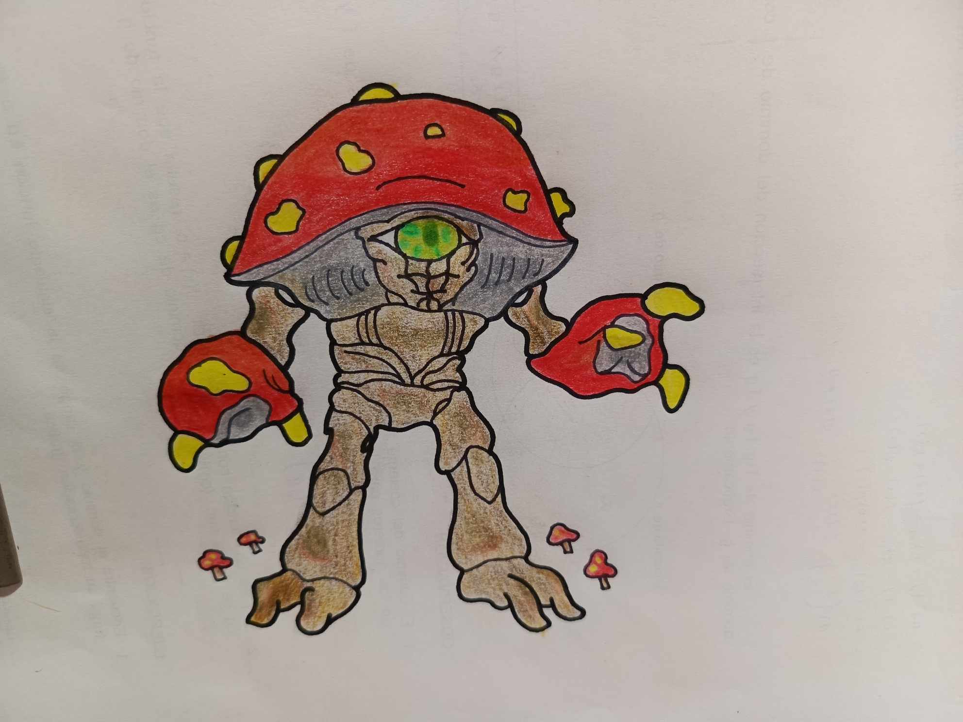 d5.jpg