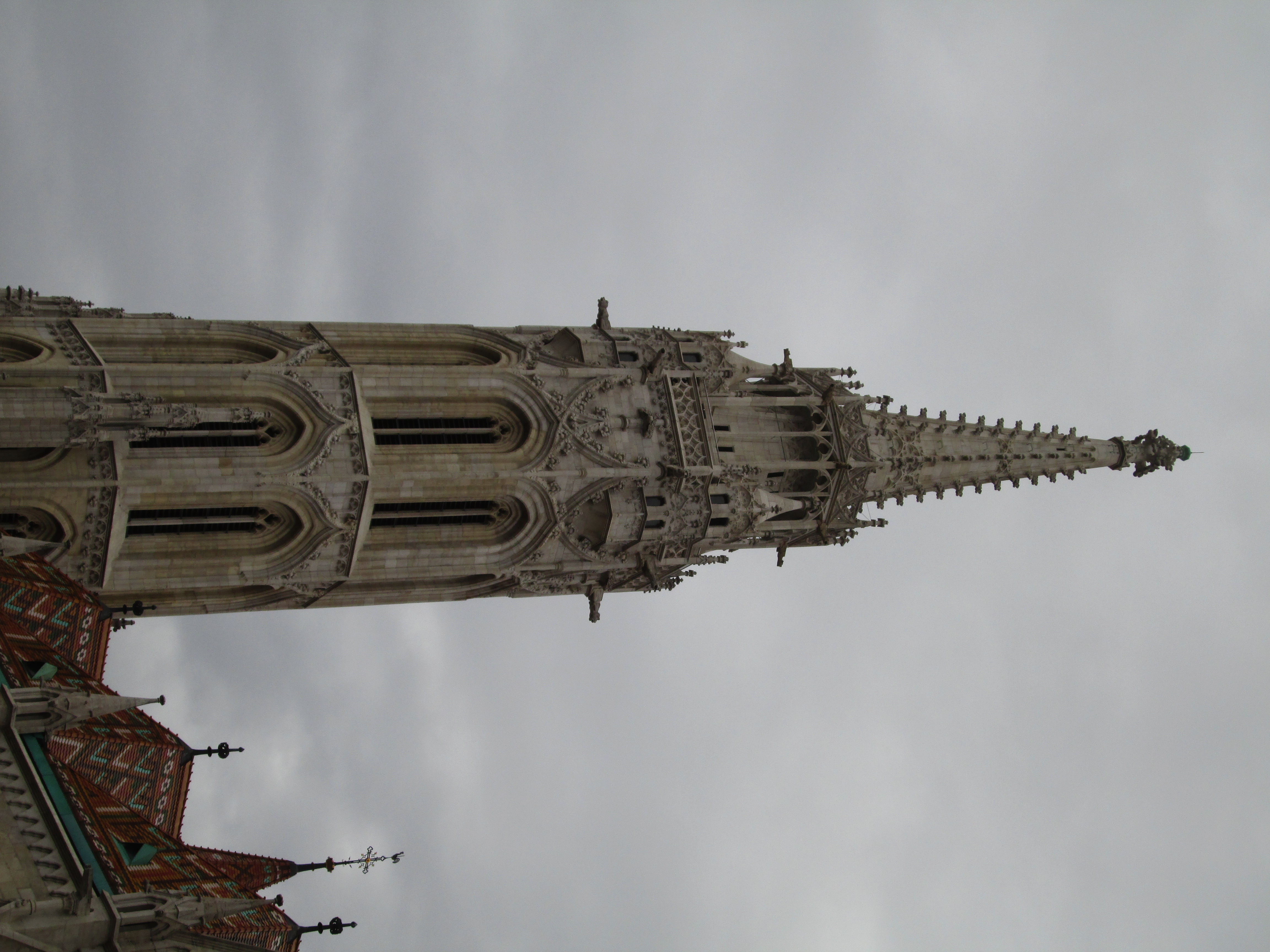 IMG_2944.JPG